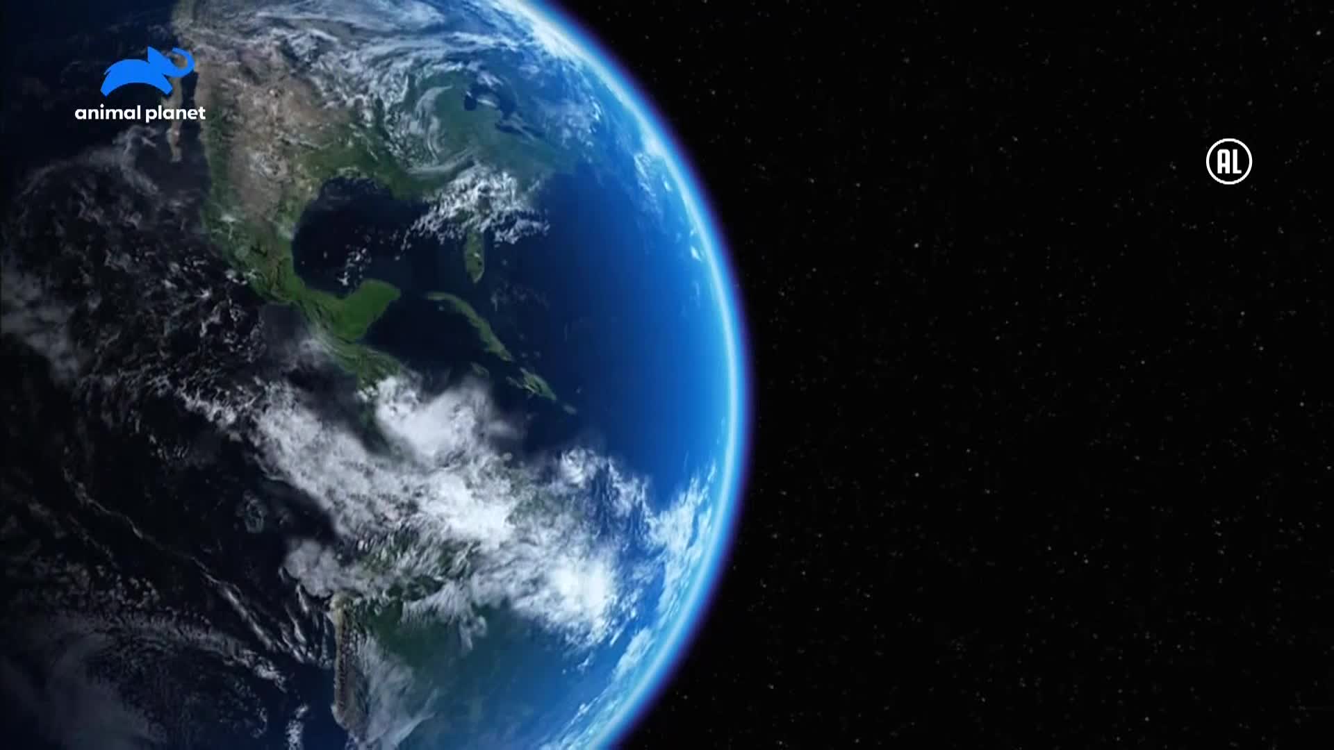 AnimalPlanet