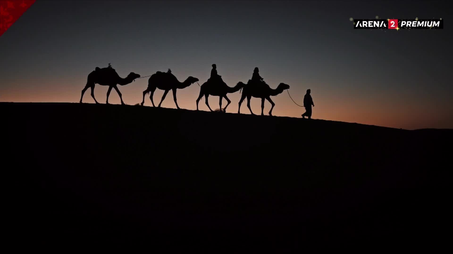 ArenaPremium2