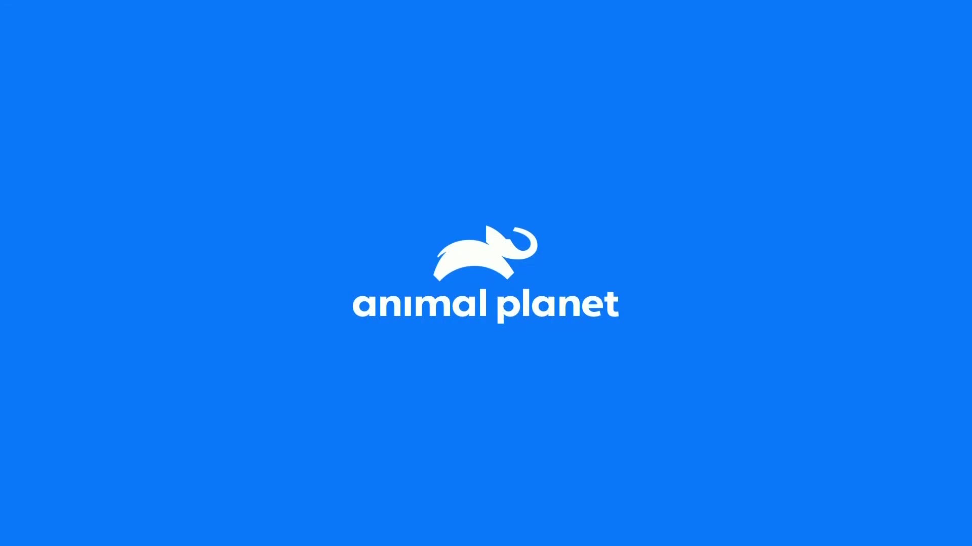 AnimalPlanet