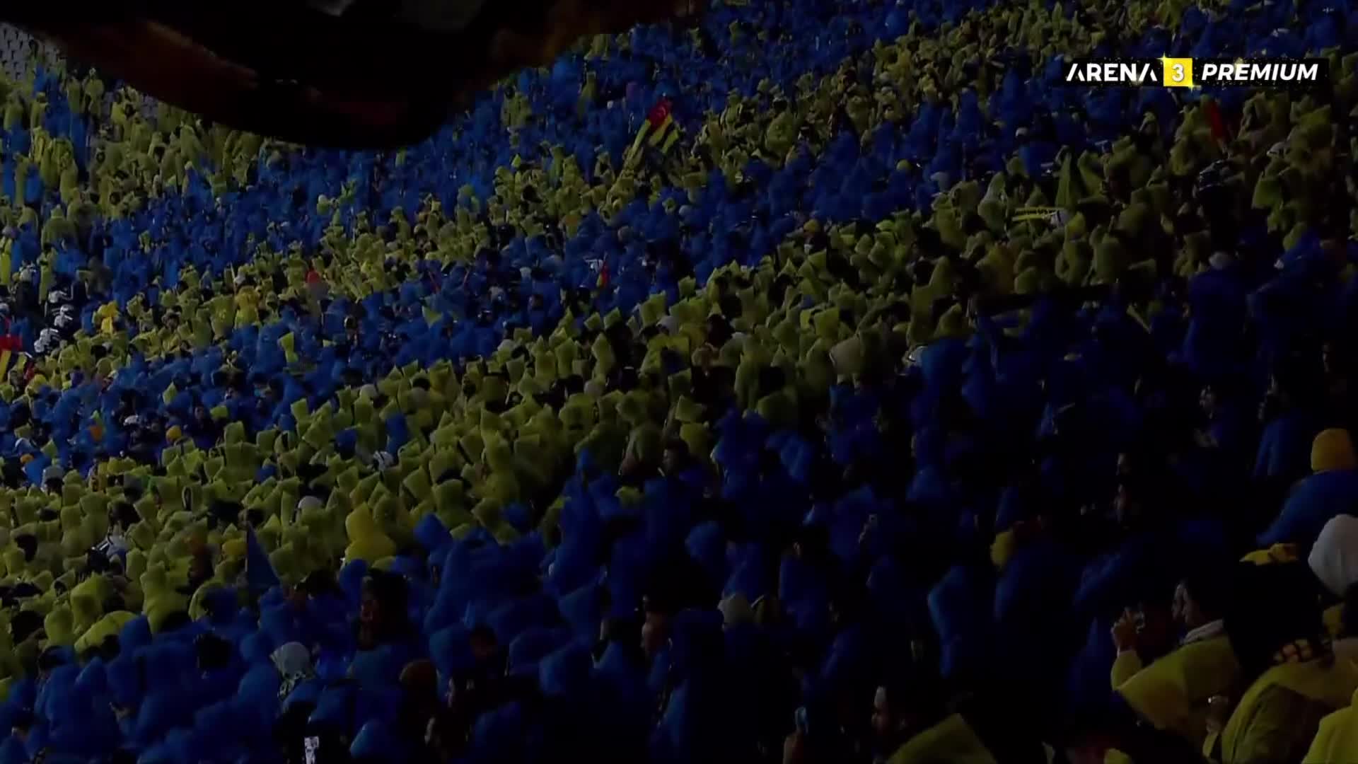 ArenaPremium3