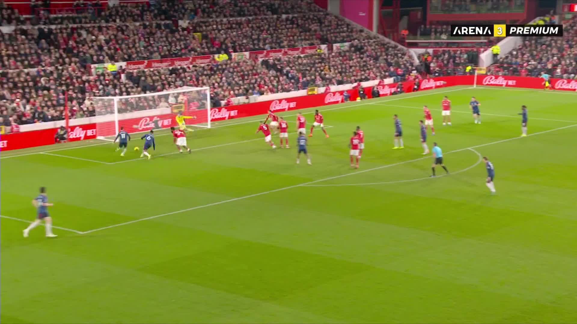 ArenaPremium3