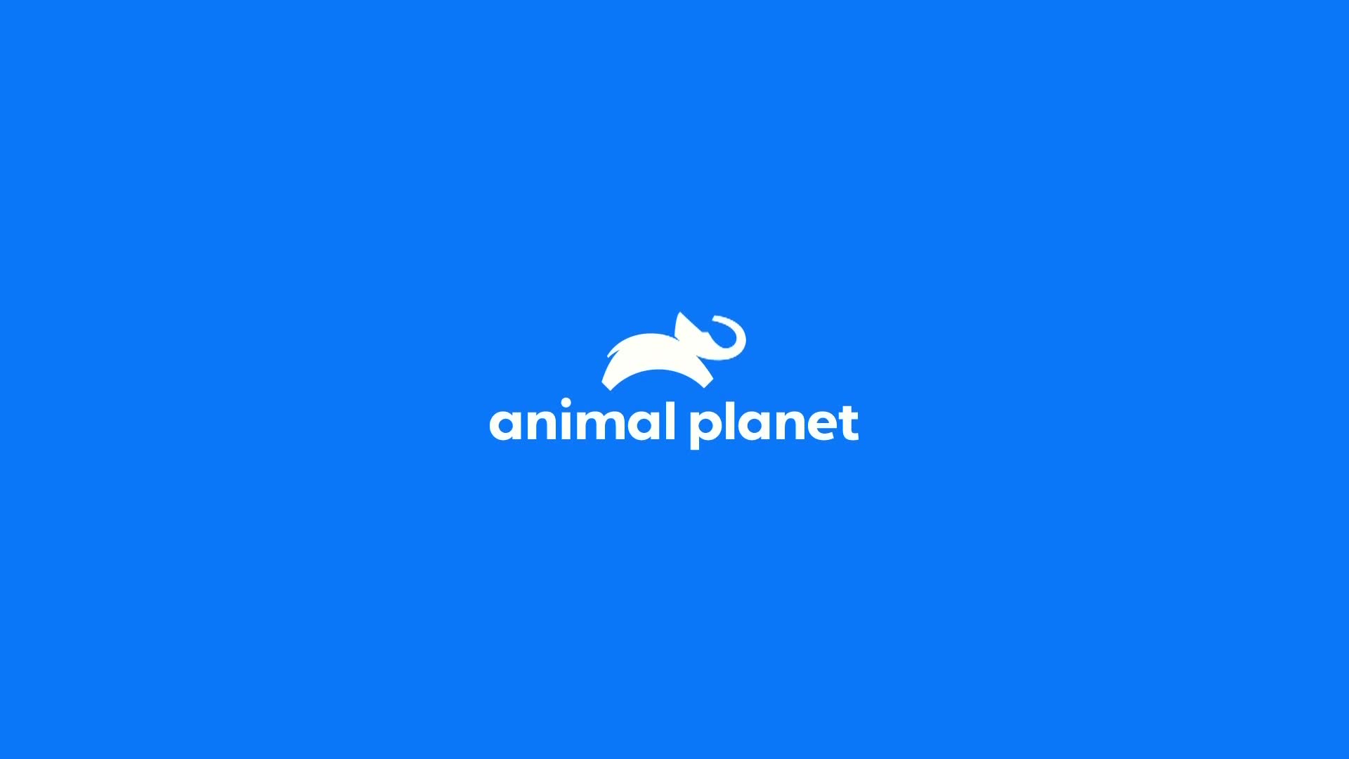 AnimalPlanet