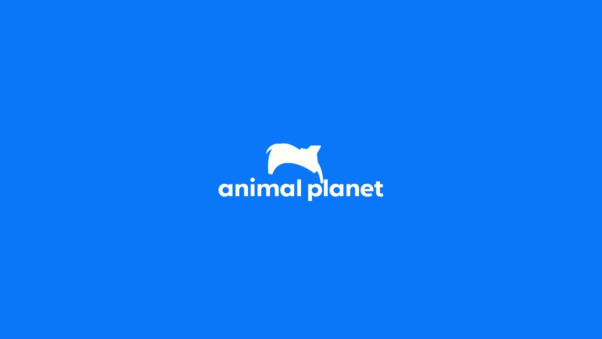 AnimalPlanet