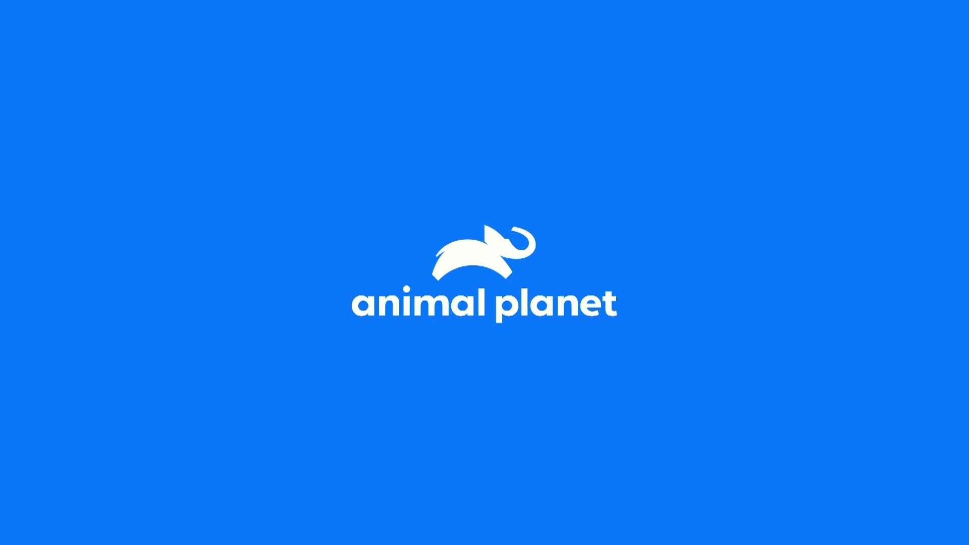 AnimalPlanet