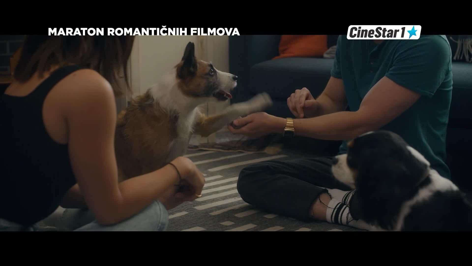 CinestarTV