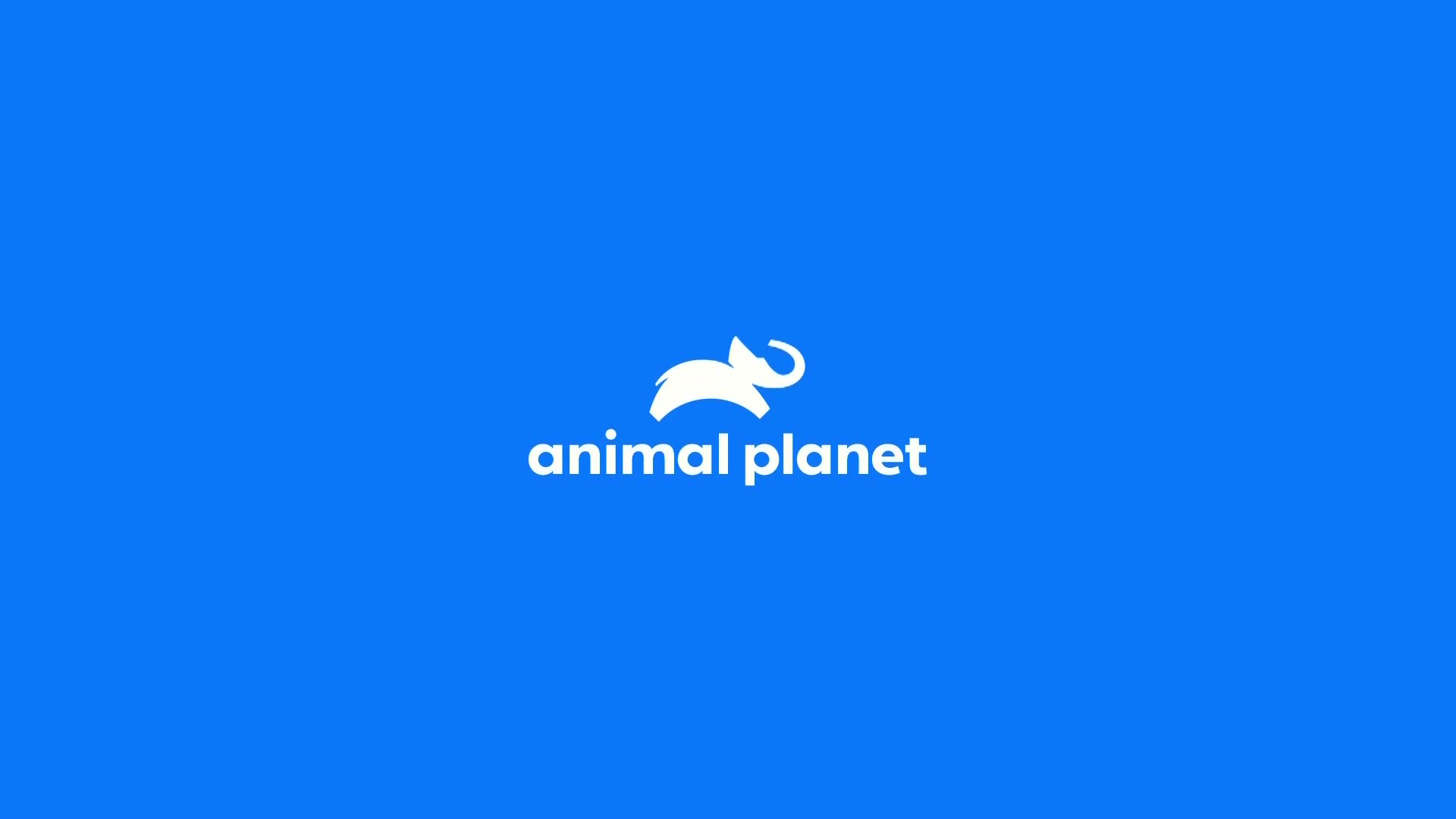 AnimalPlanet