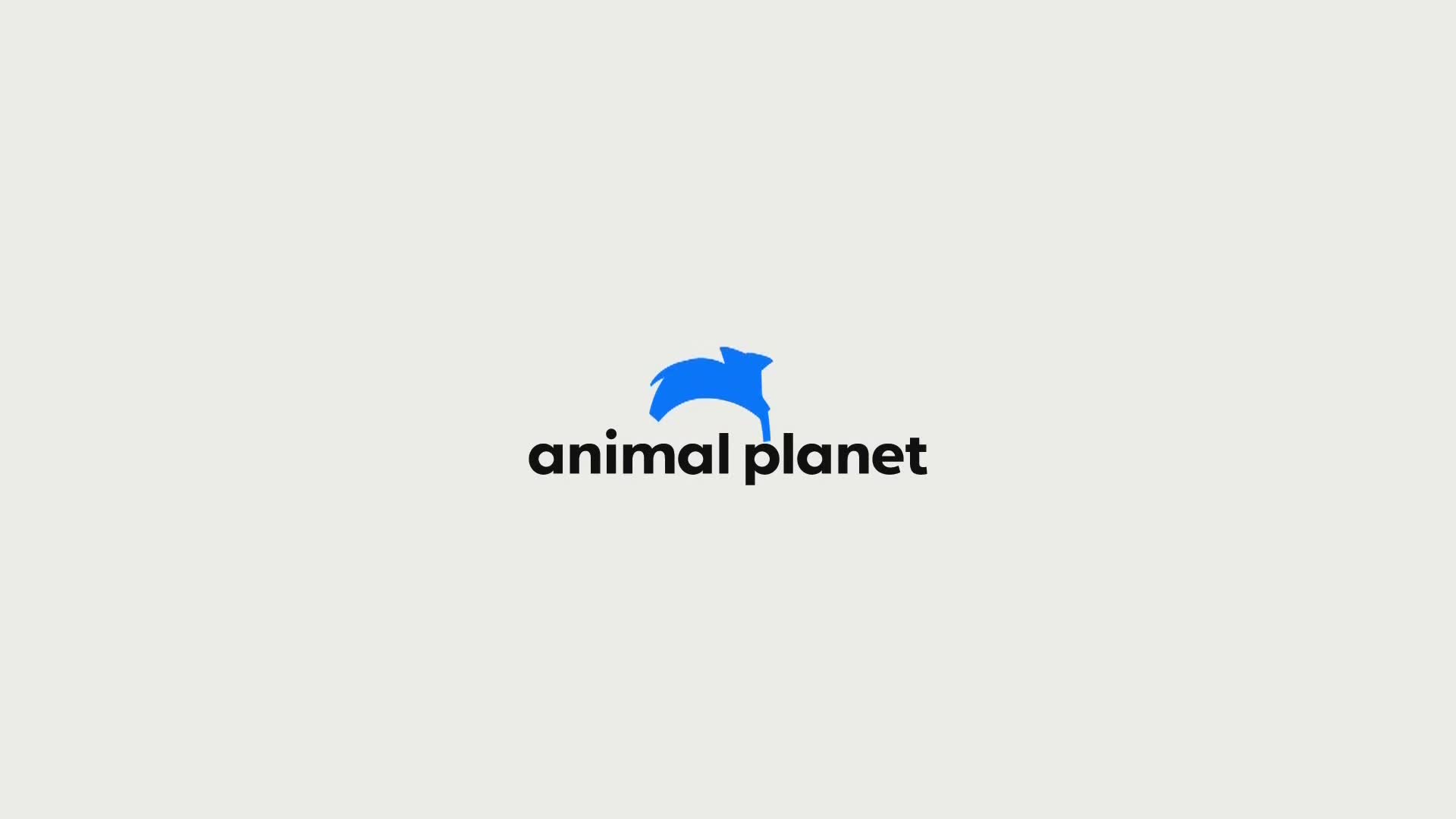 AnimalPlanet