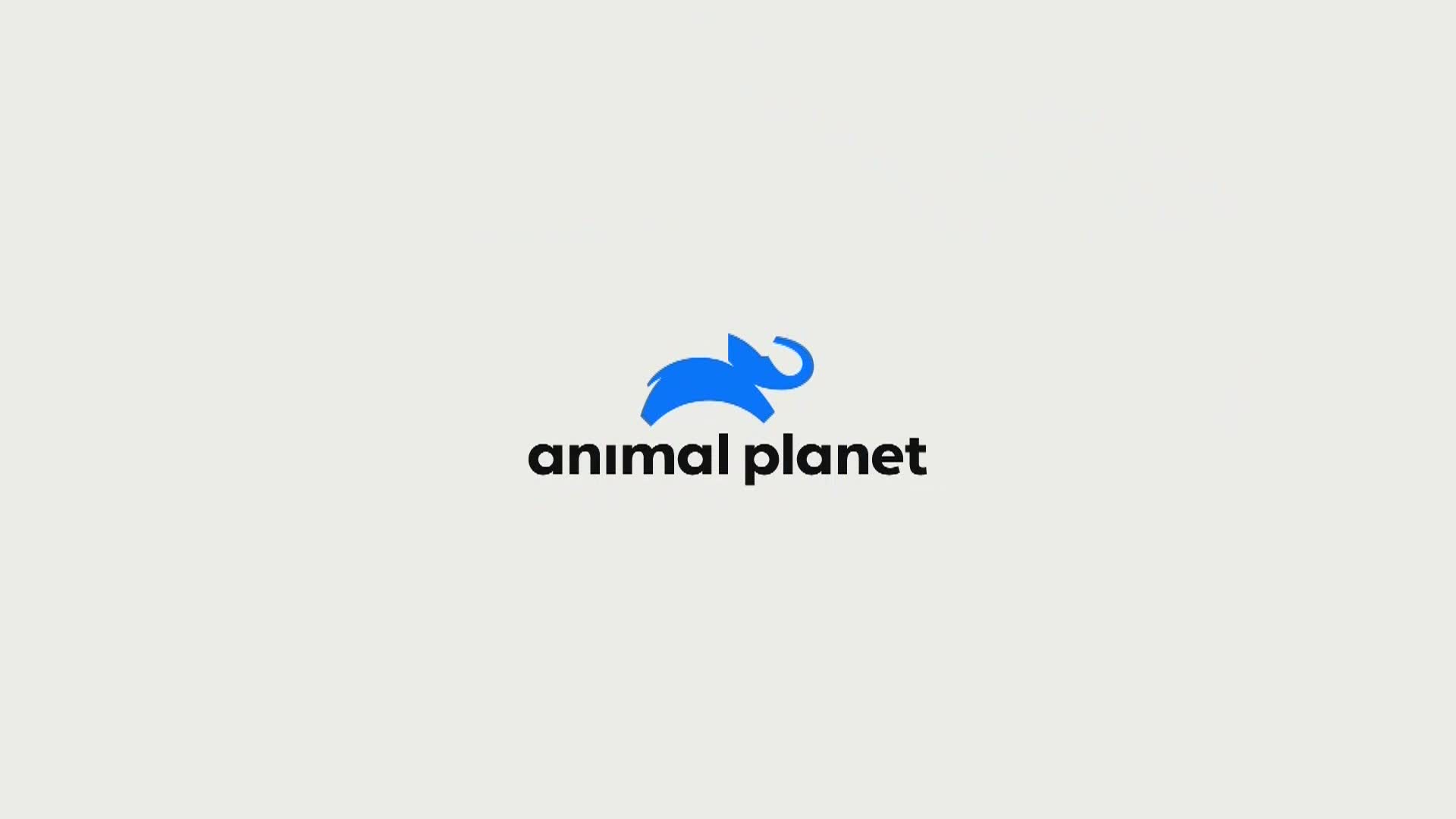 AnimalPlanet
