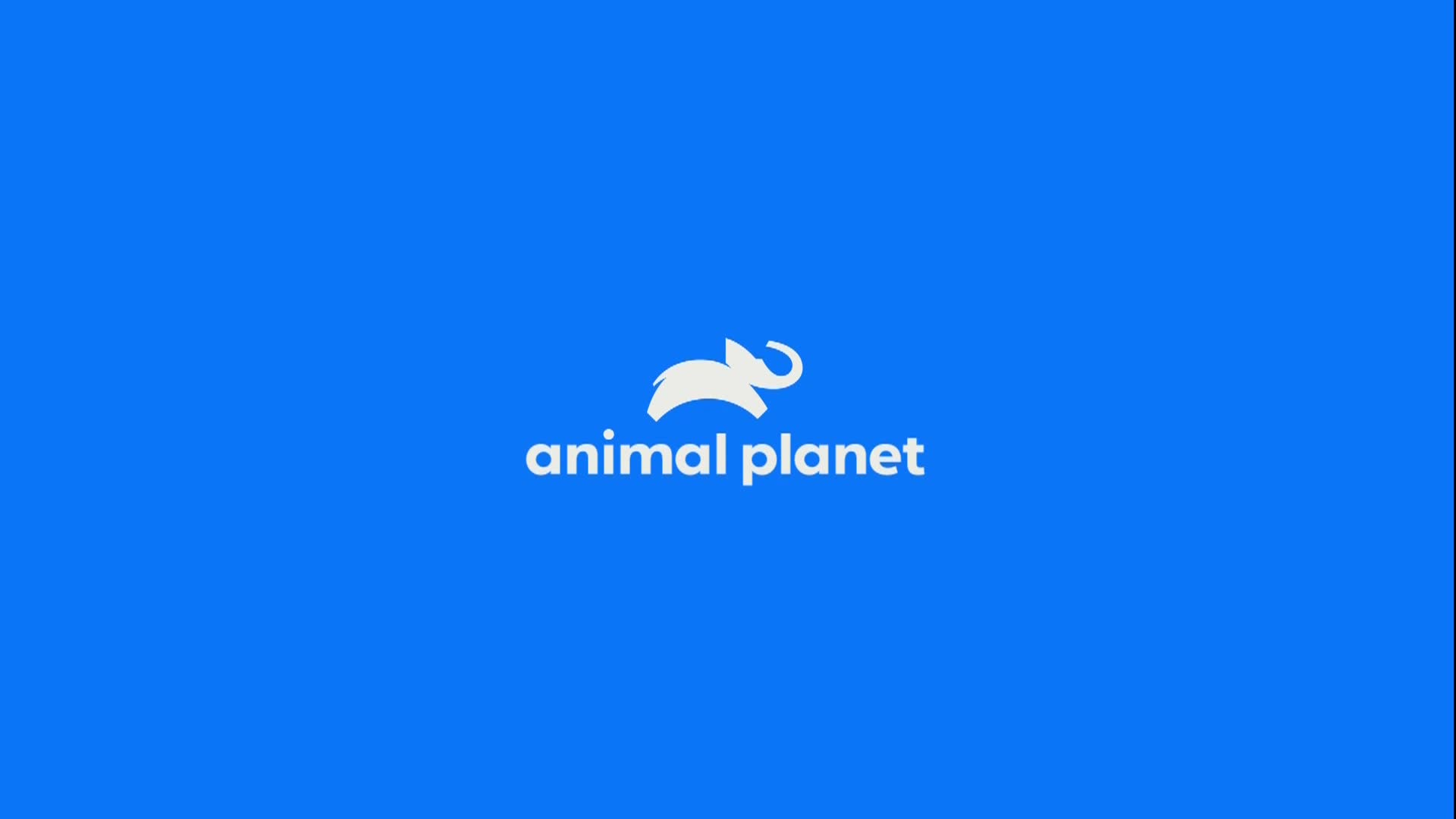 AnimalPlanet