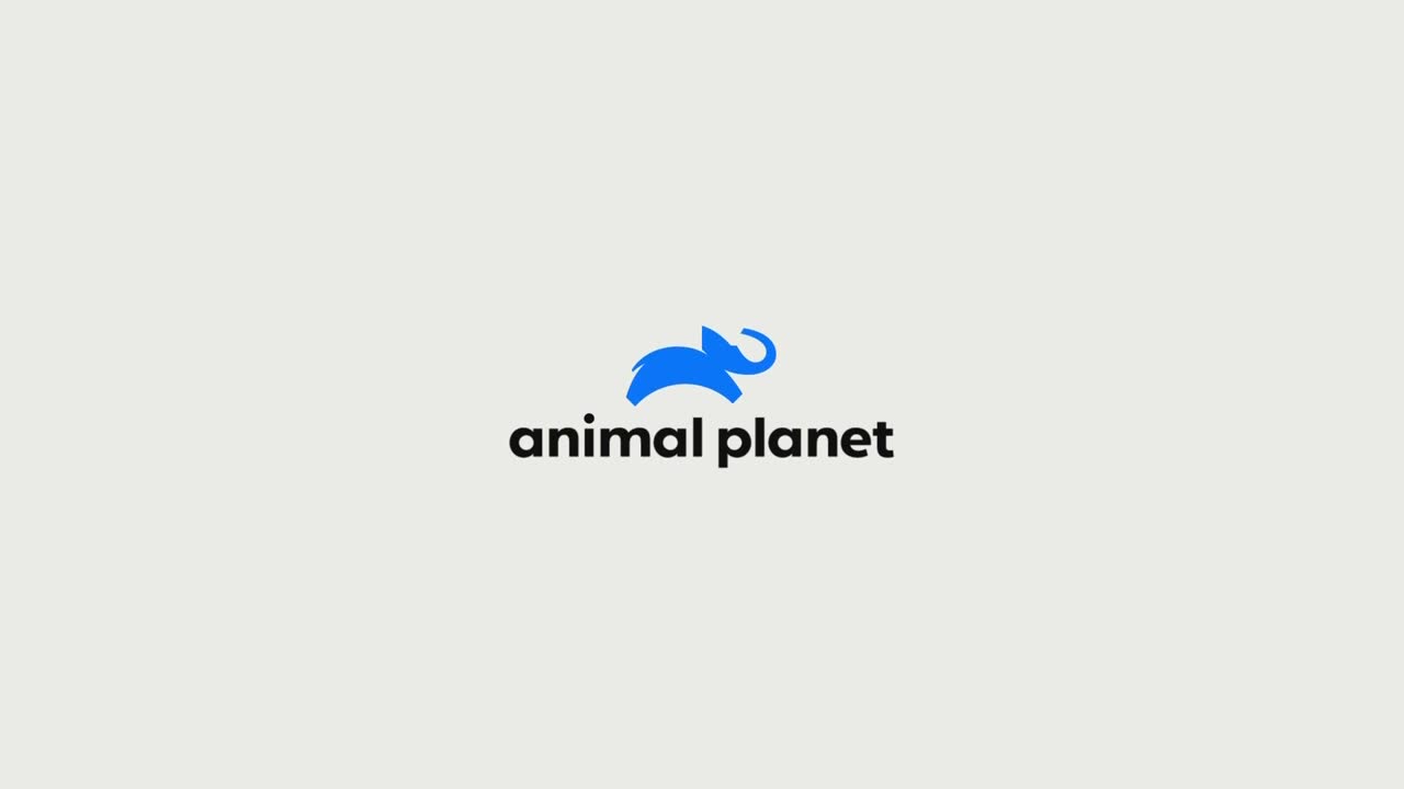 AnimalPlanet
