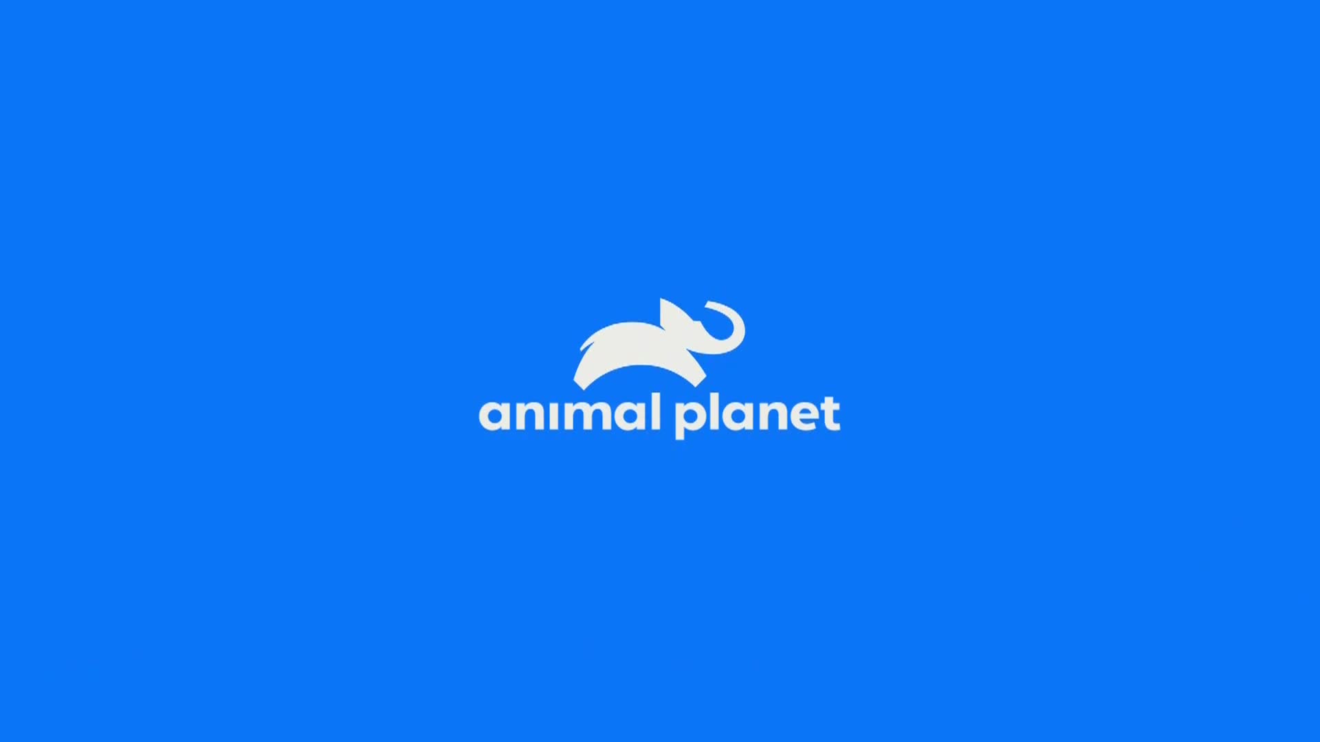 AnimalPlanet