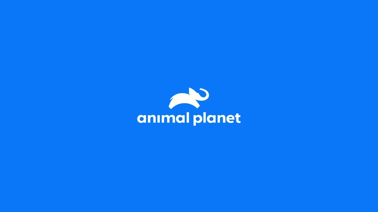 AnimalPlanet
