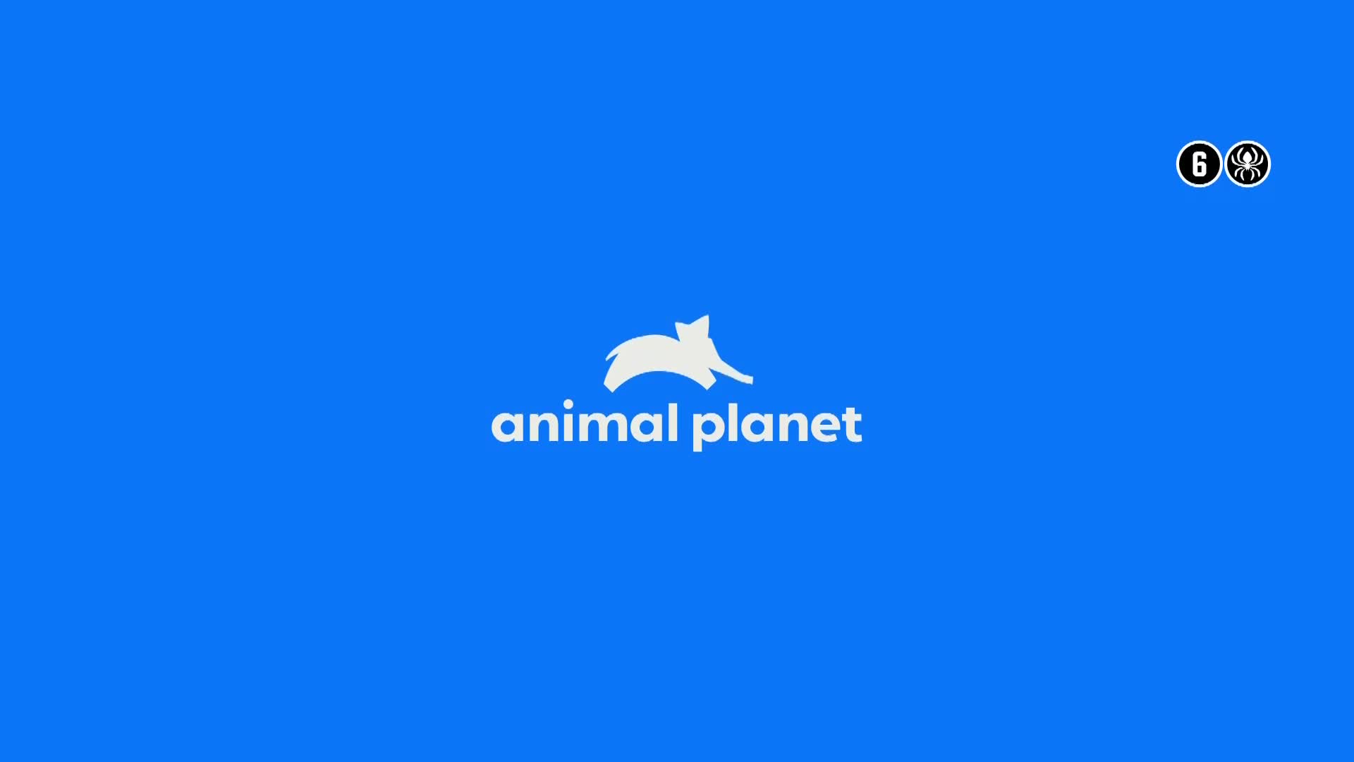 AnimalPlanet