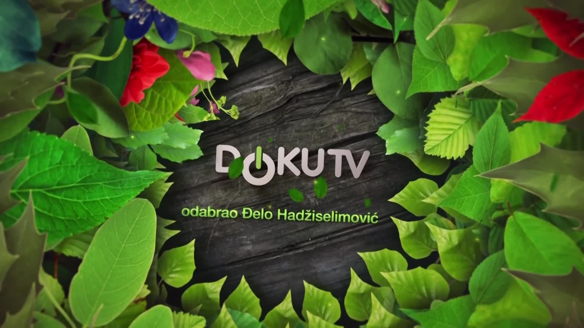 DokuTV