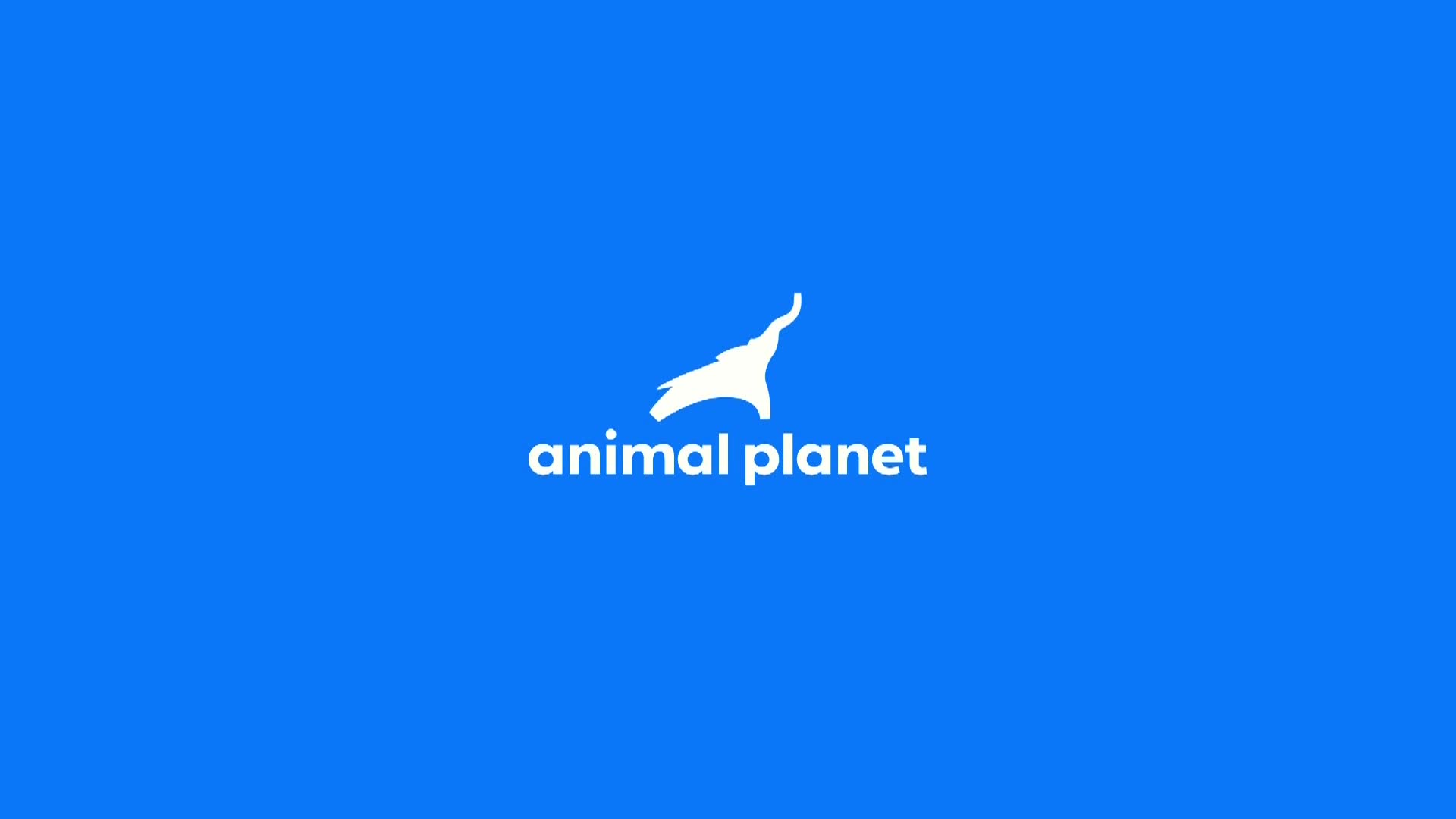 AnimalPlanet