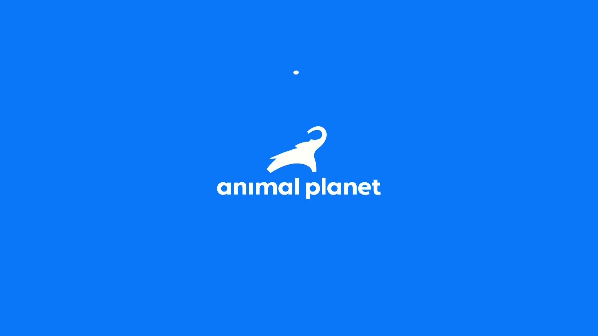 AnimalPlanet