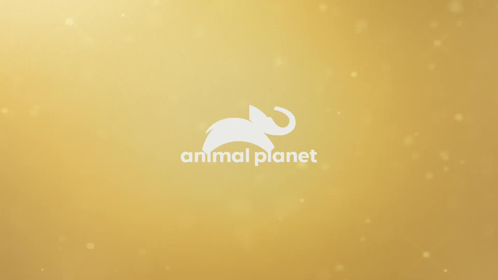 AnimalPlanet