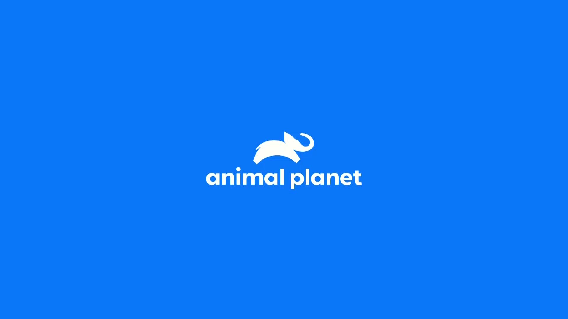 AnimalPlanet