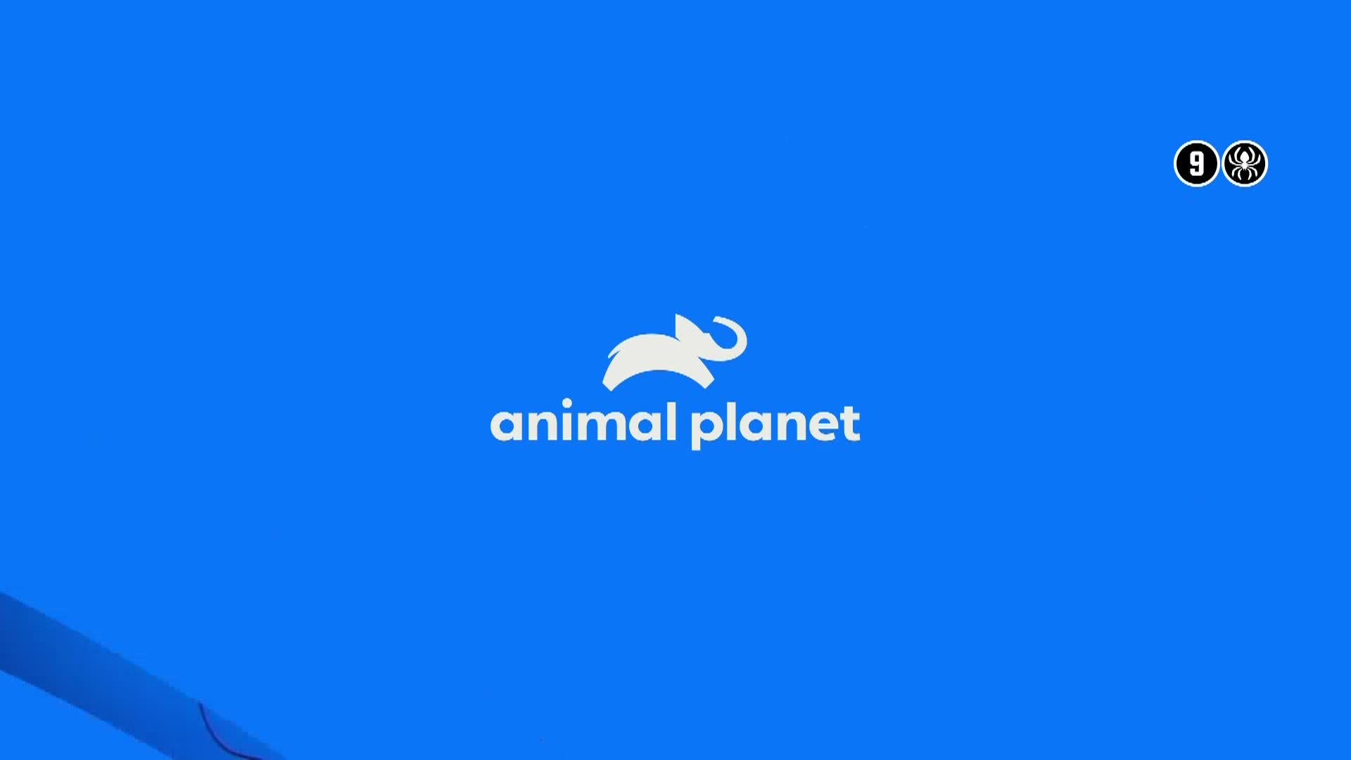 AnimalPlanet