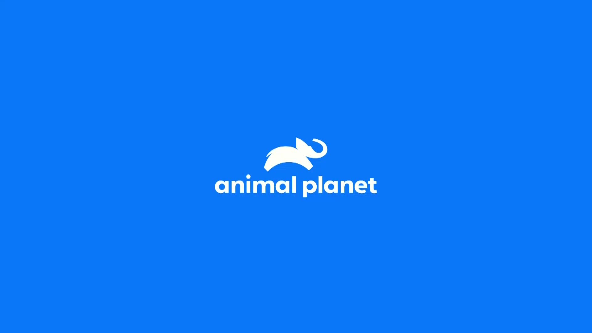 AnimalPlanet