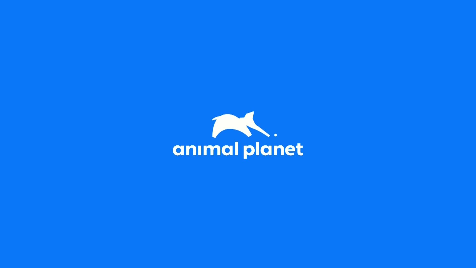 AnimalPlanet