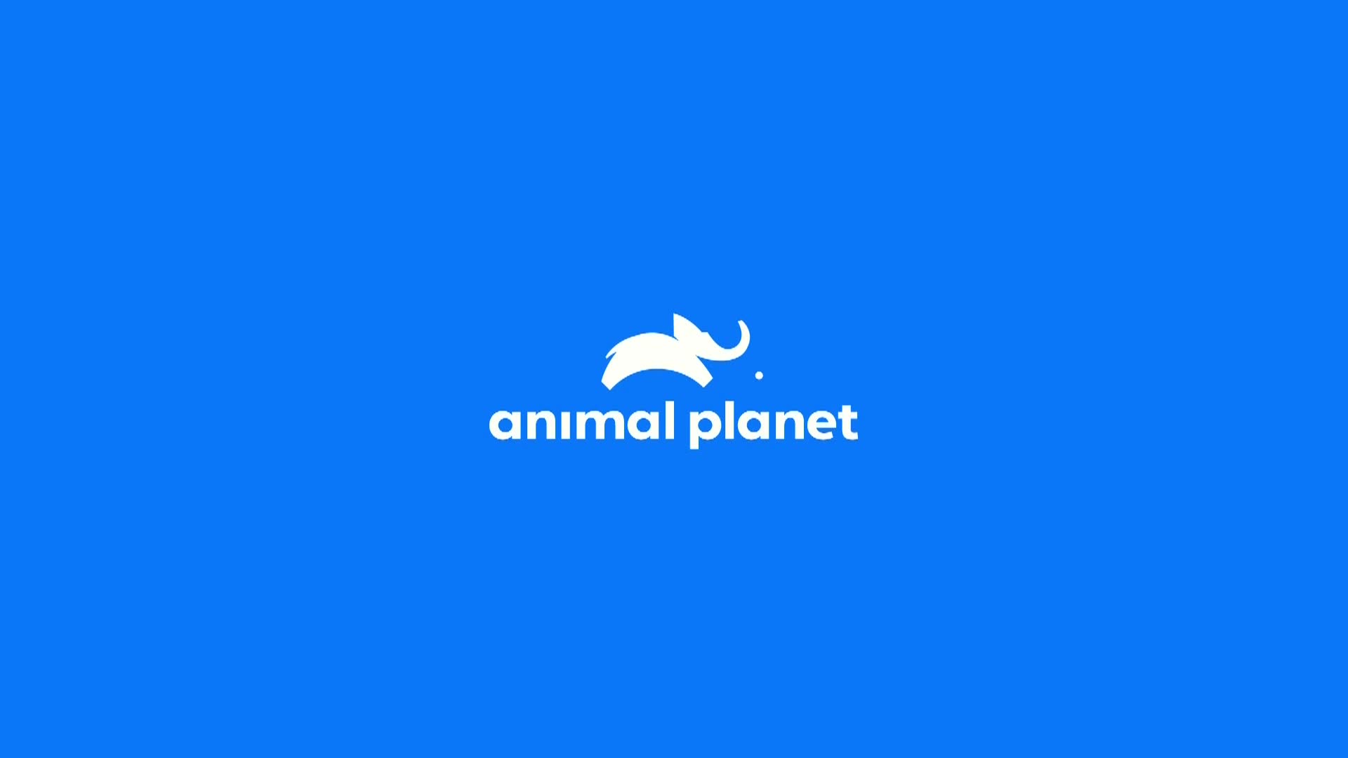 AnimalPlanet