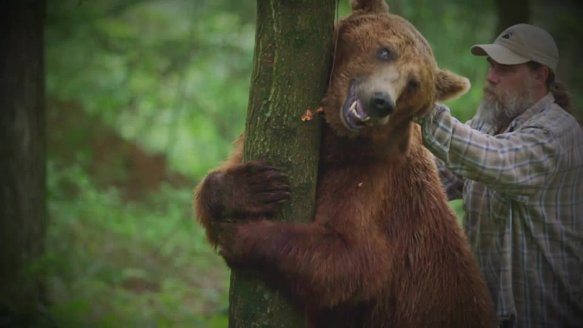 AnimalPlanet