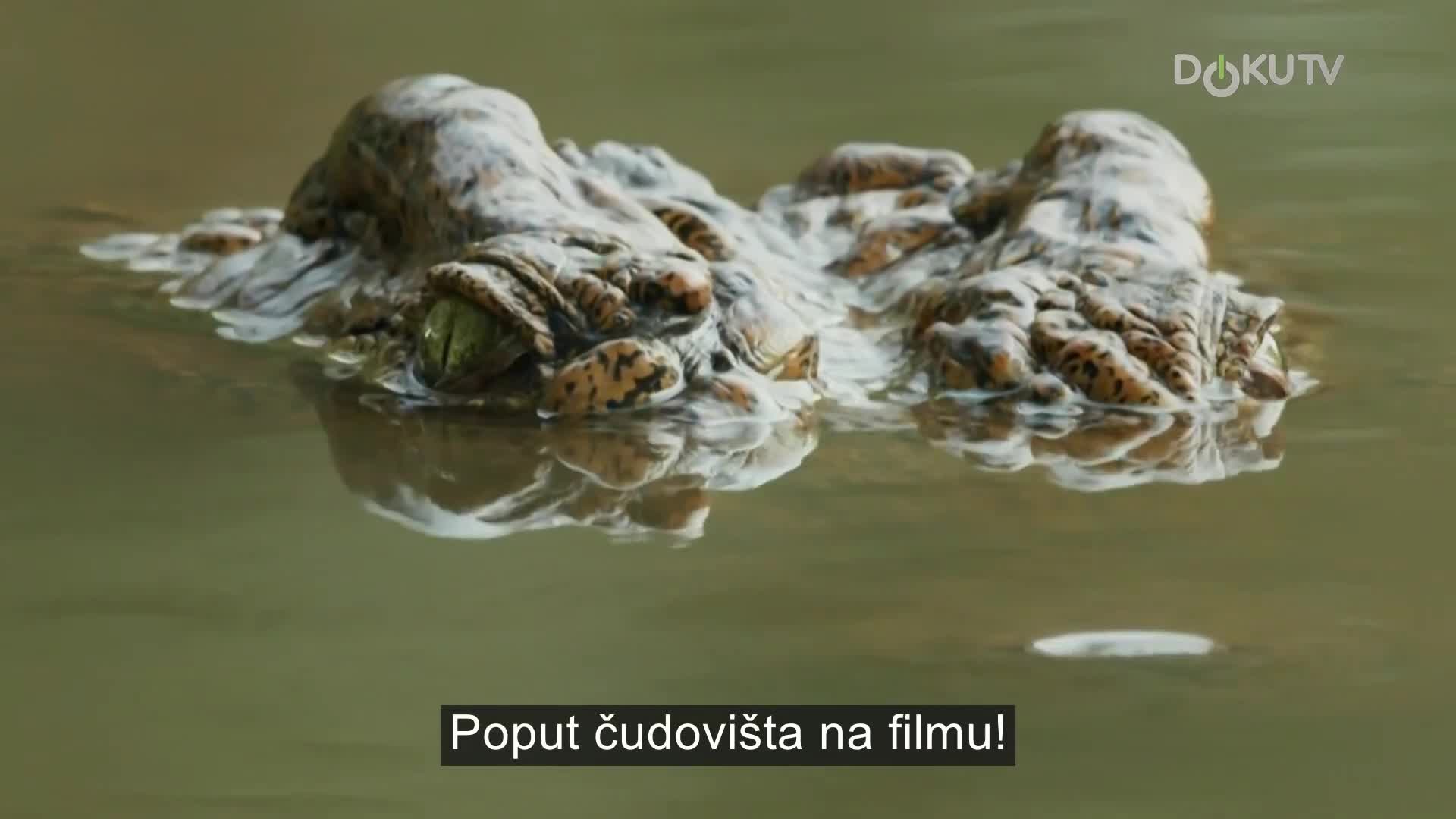 DokuTV