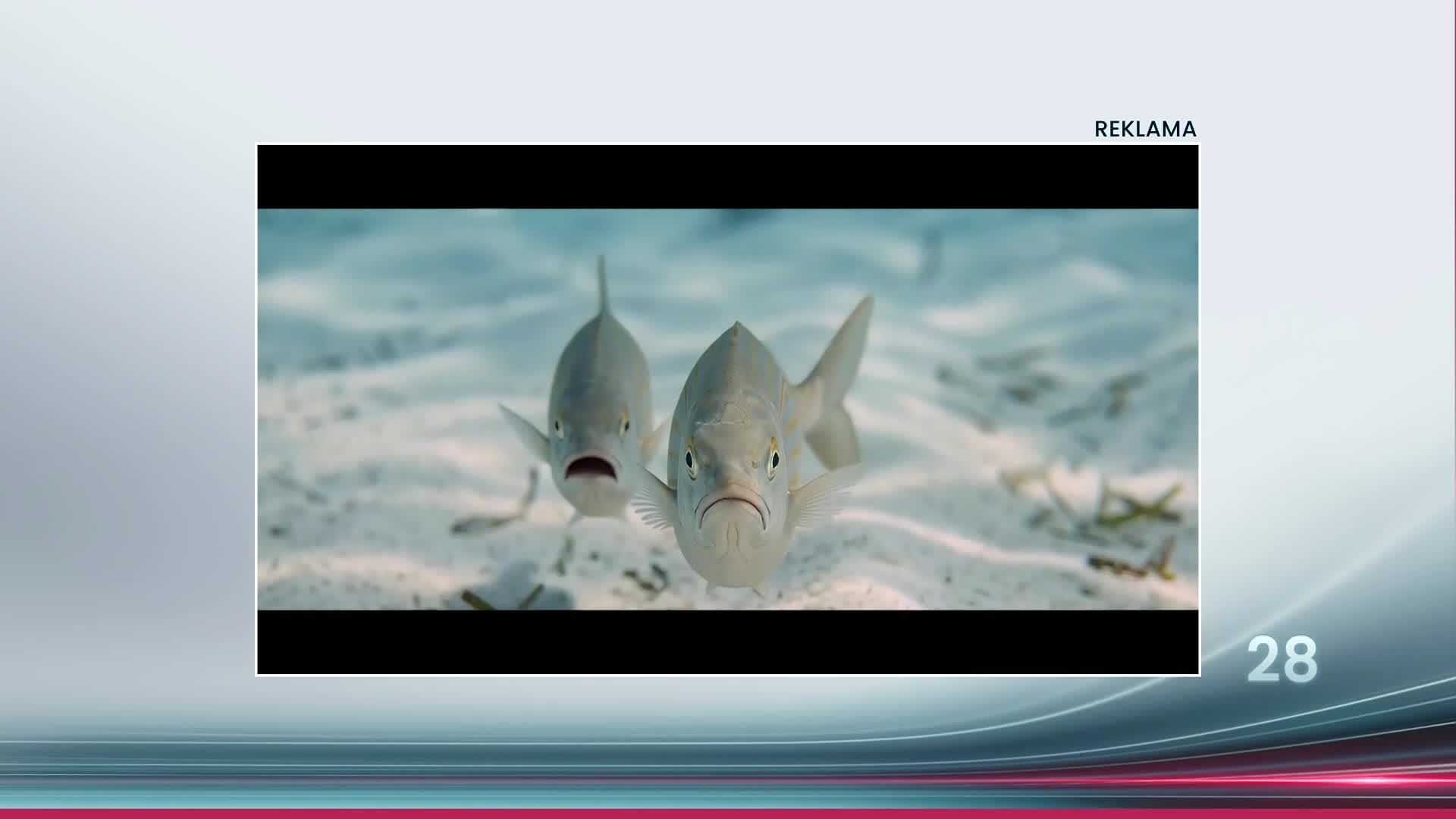 RTL