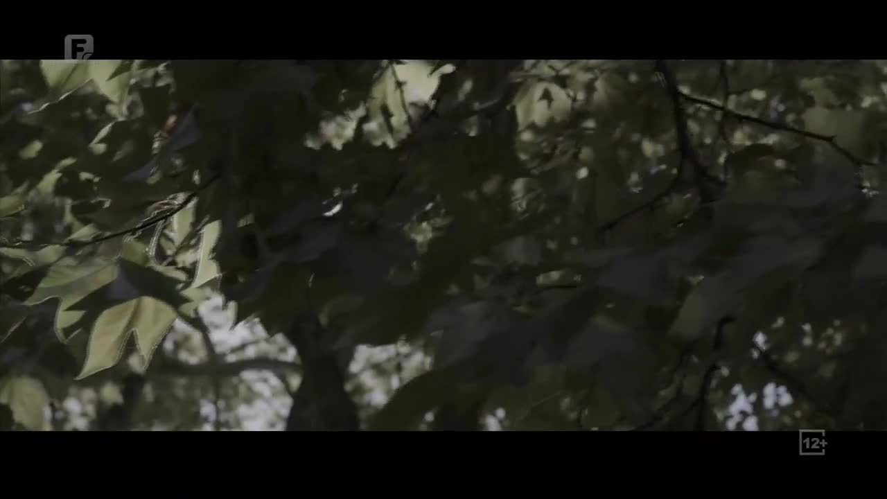 FTV