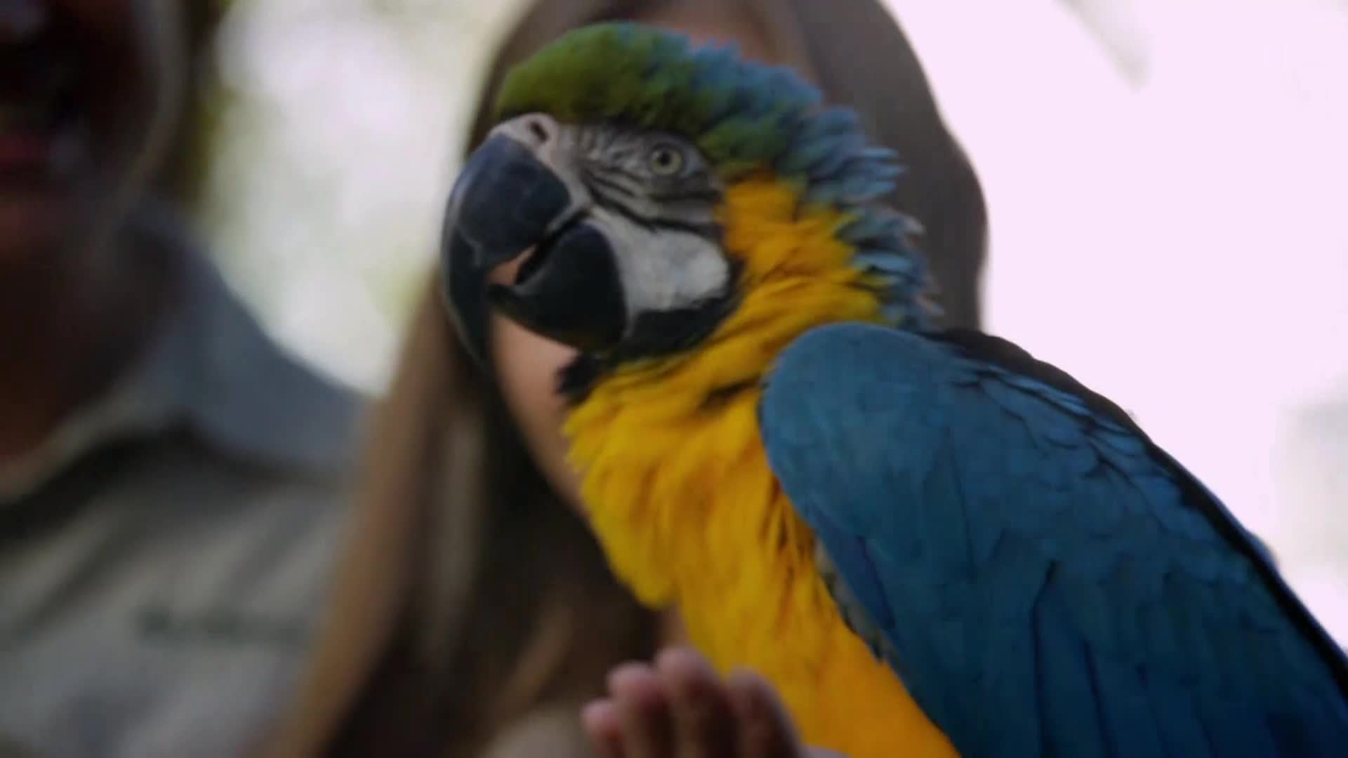 AnimalPlanet
