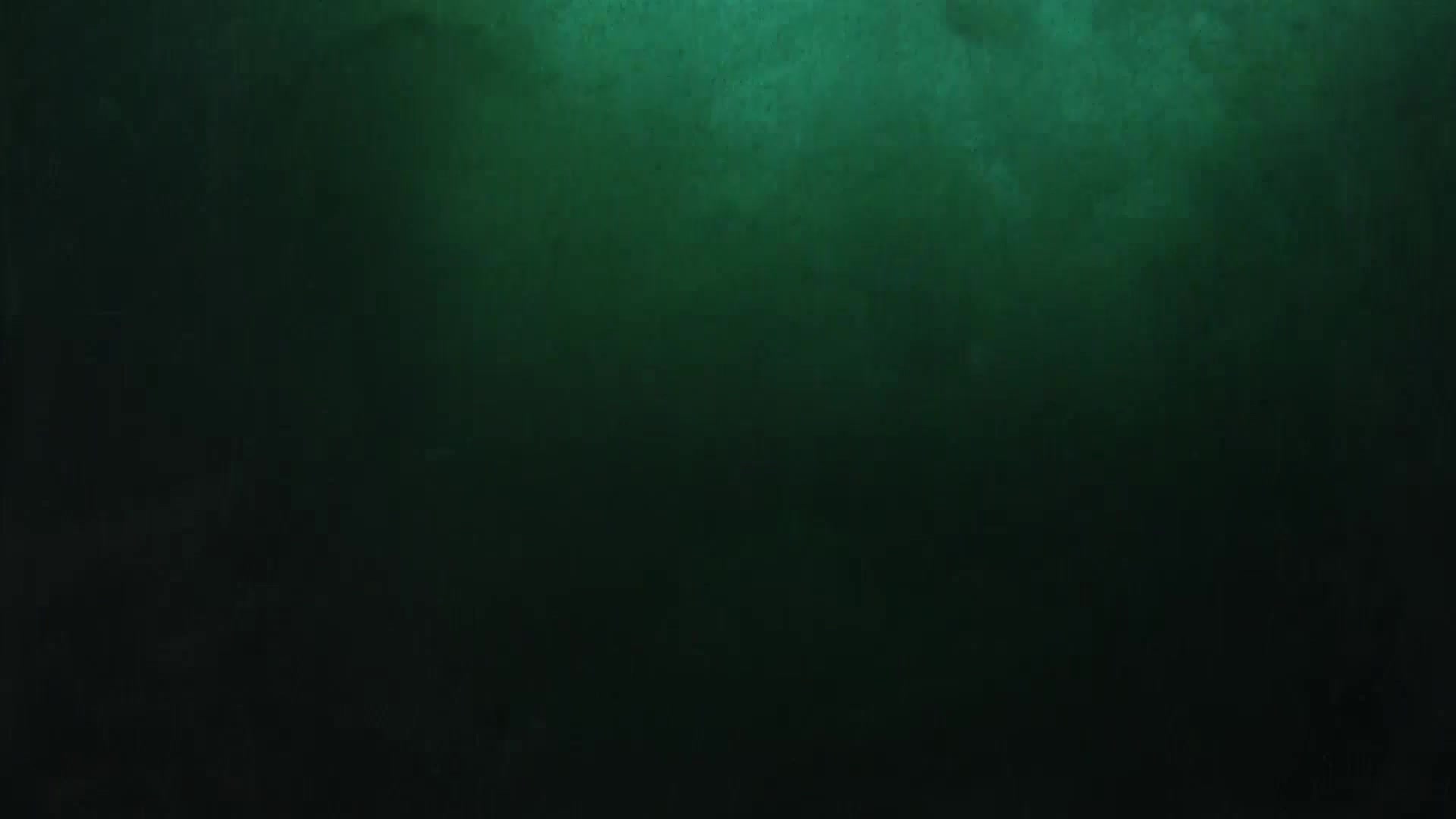 AnimalPlanet