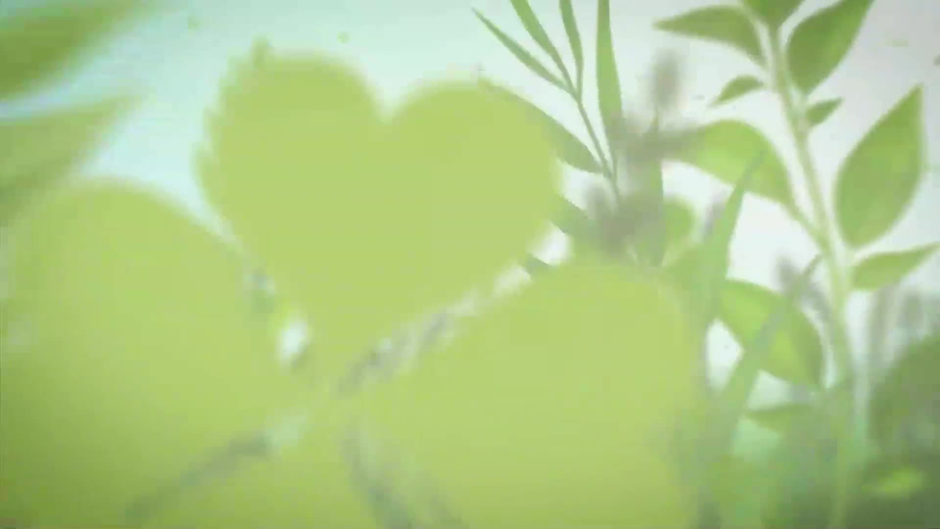 NovaTVbh