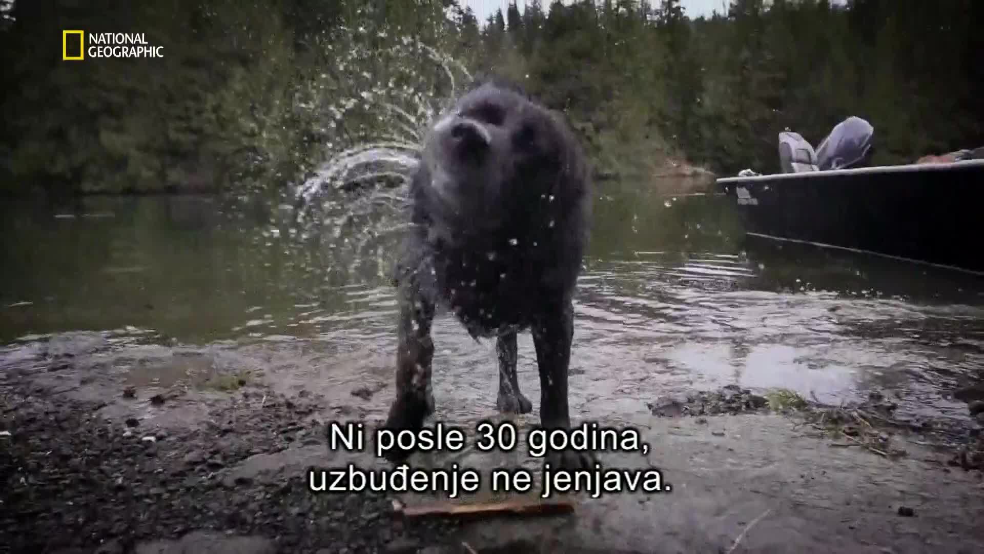 Premium10