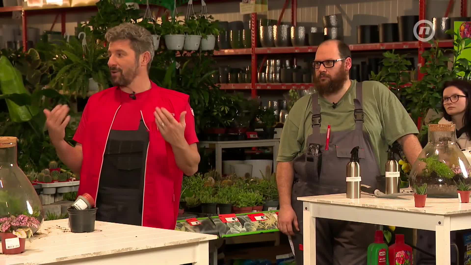 NovaTVPlus