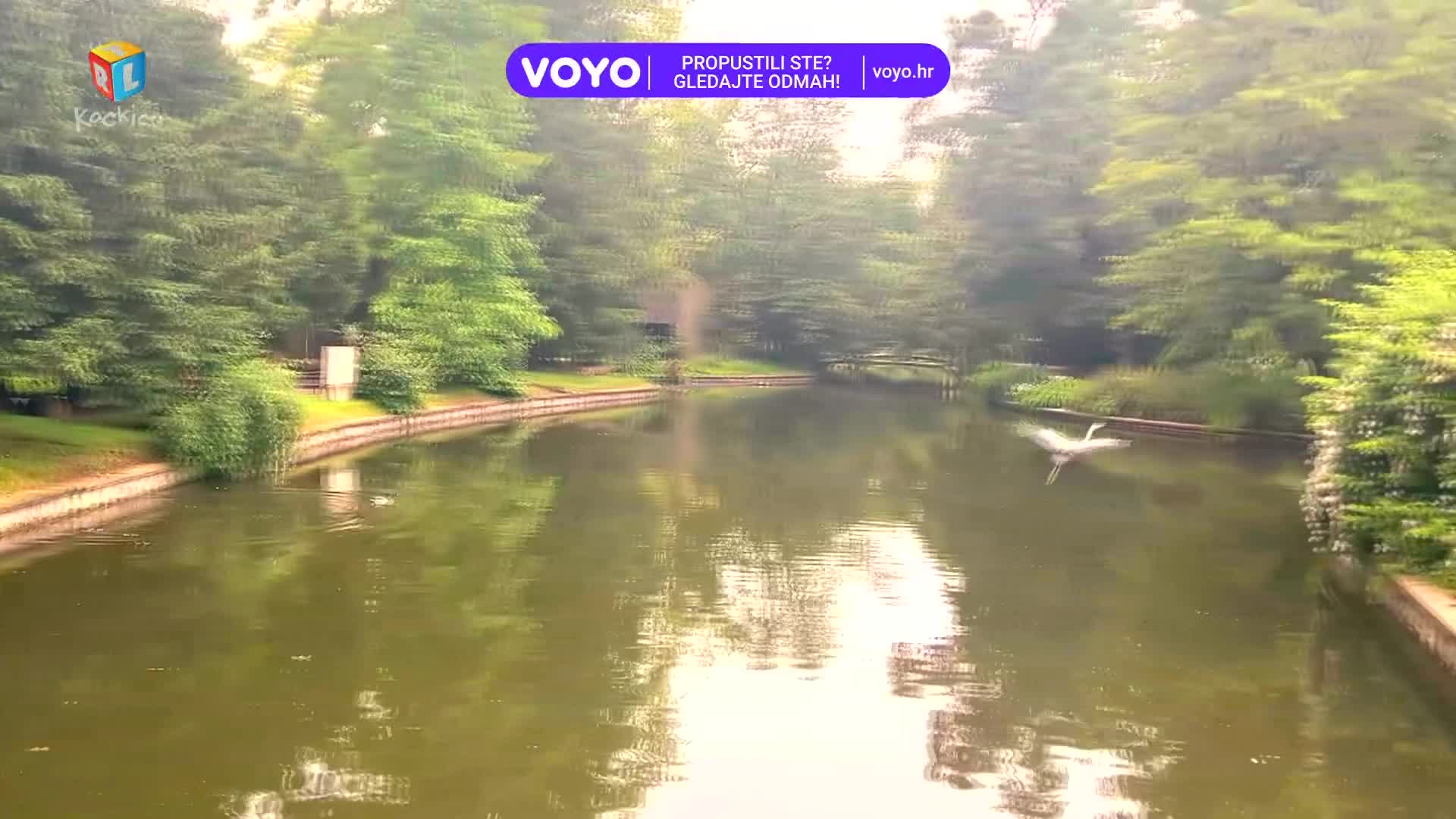 RTLKockica