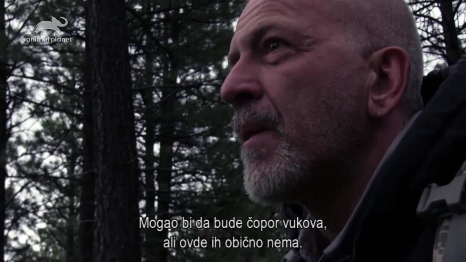AnimalPlanet