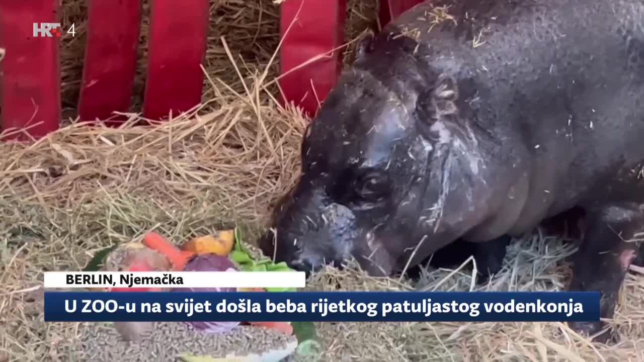HRT4