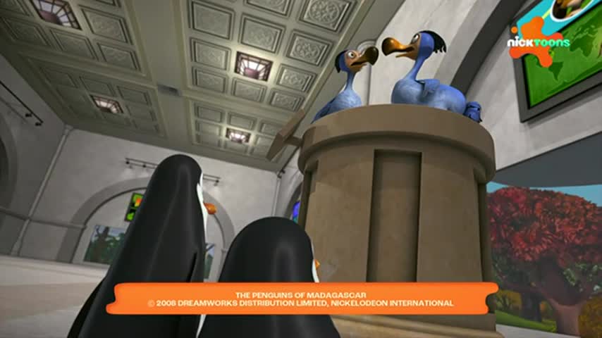 CCExtra