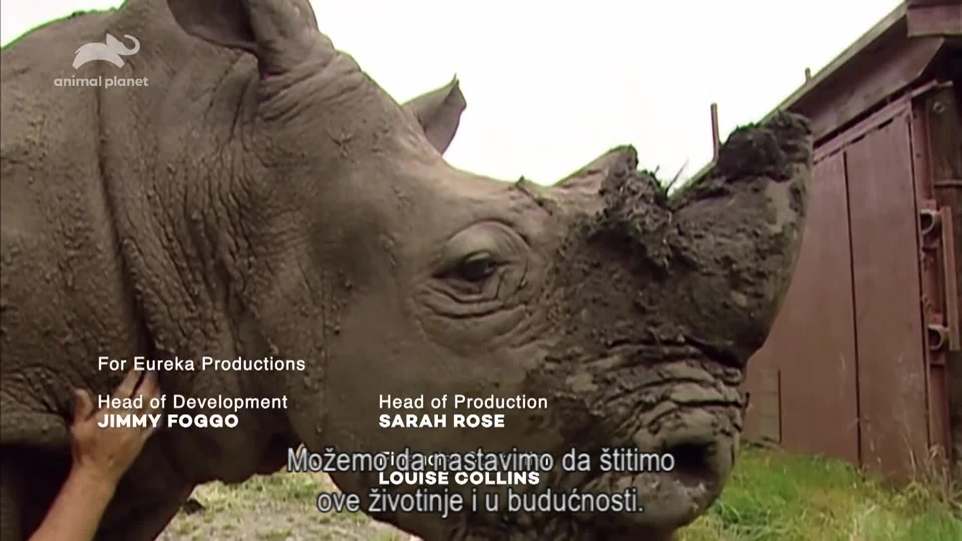 AnimalPlanet
