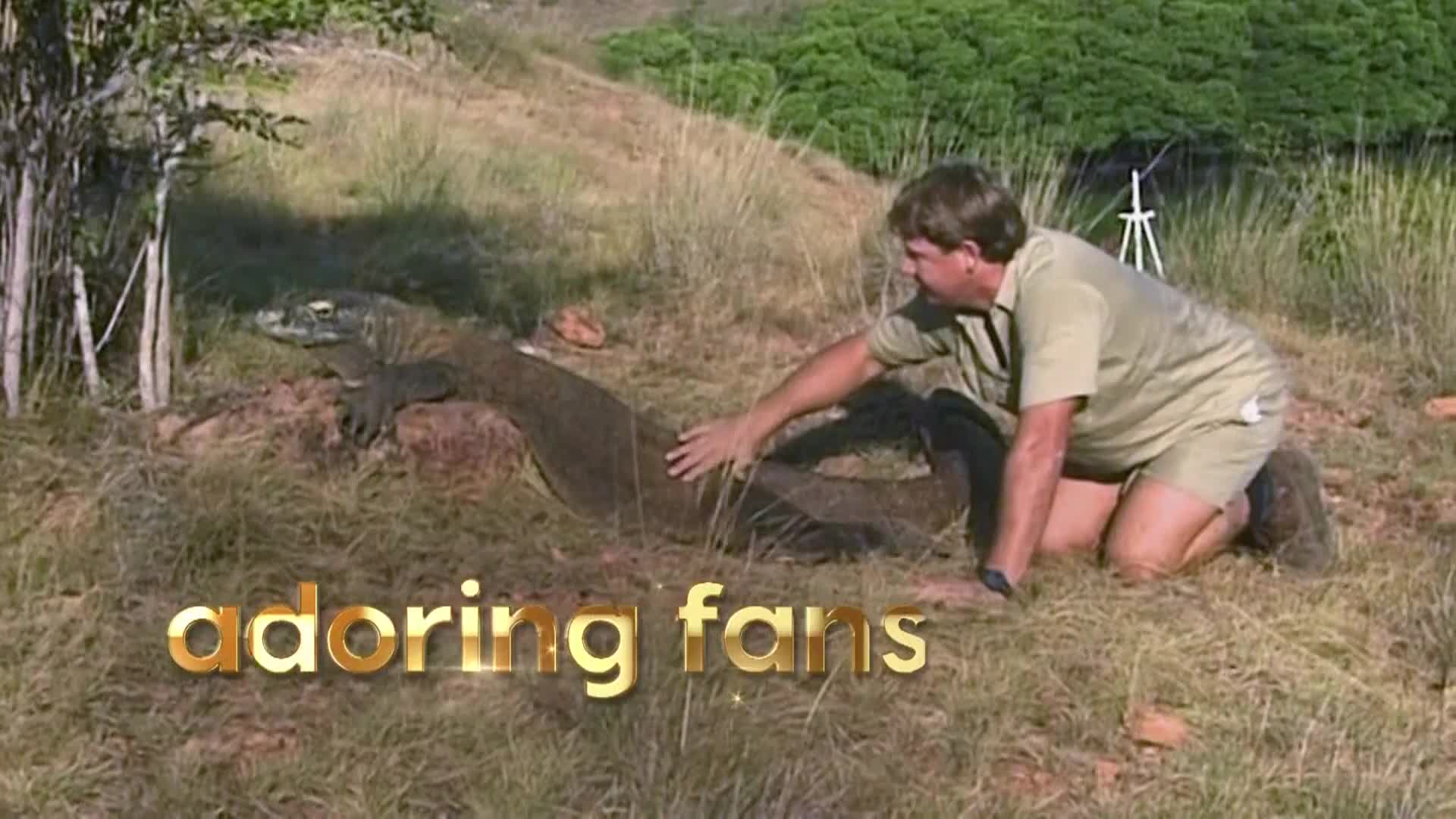 AnimalPlanet