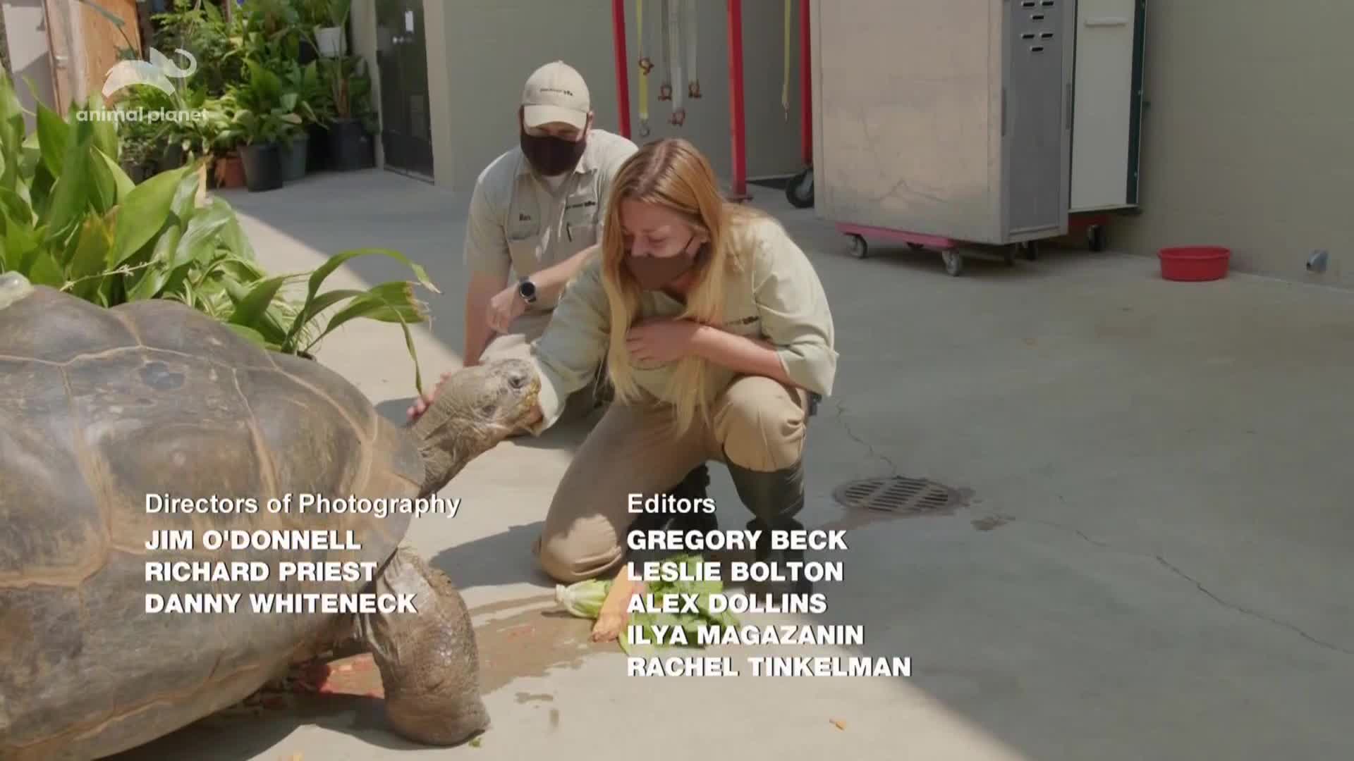 AnimalPlanet
