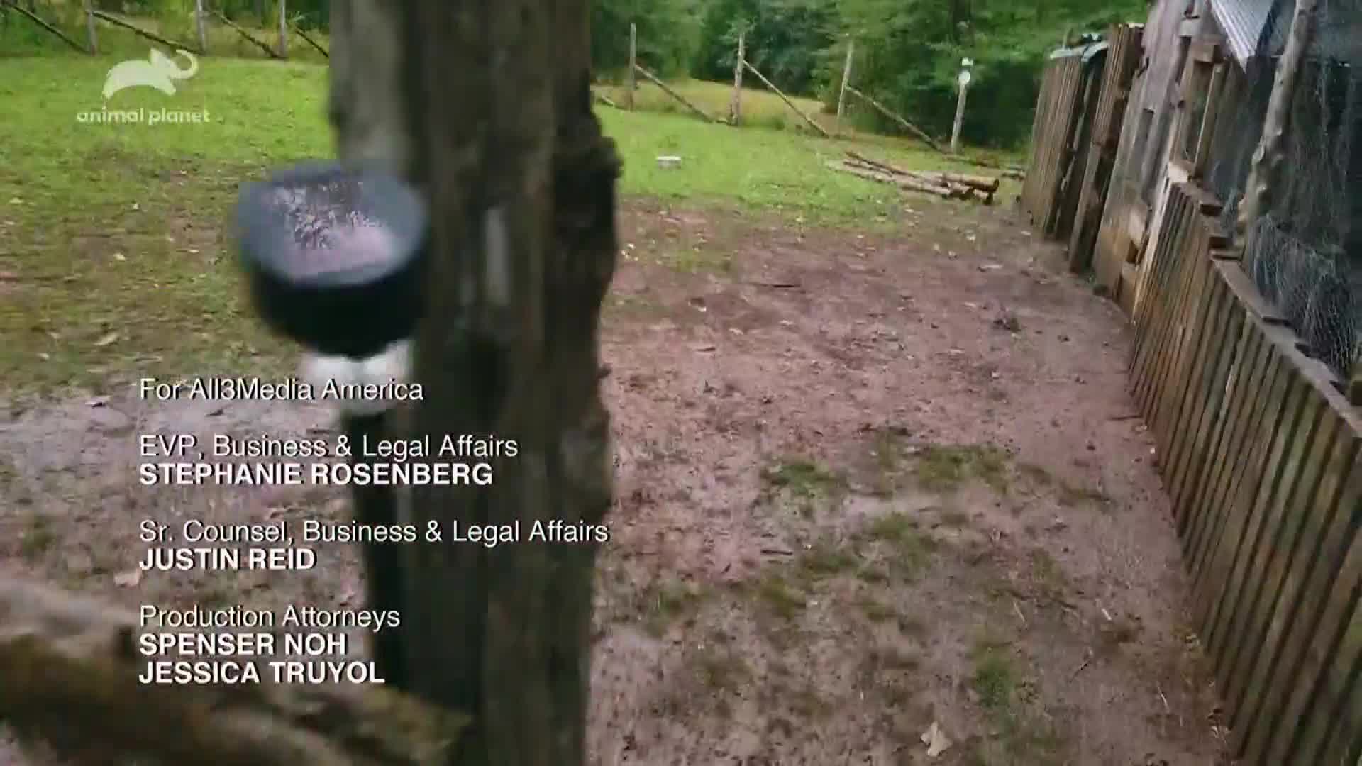 AnimalPlanet