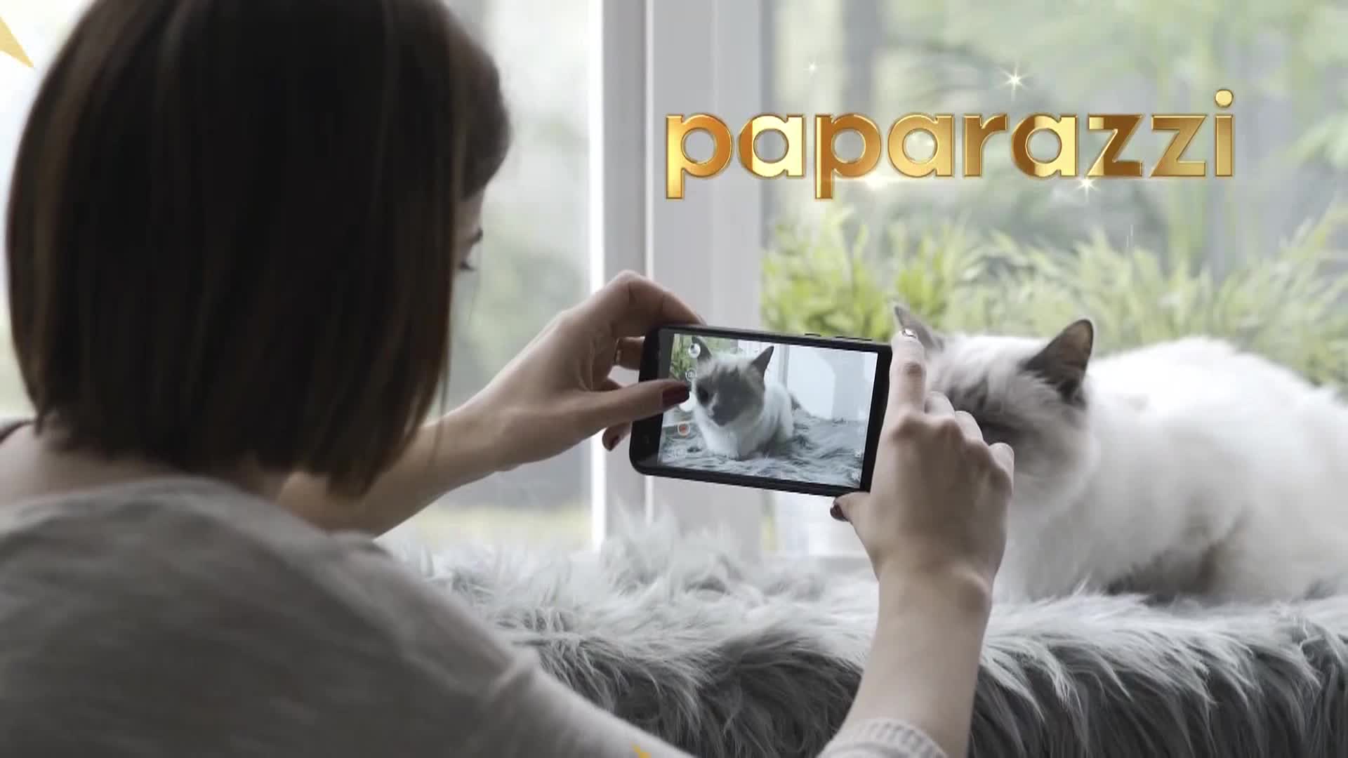 AnimalPlanet
