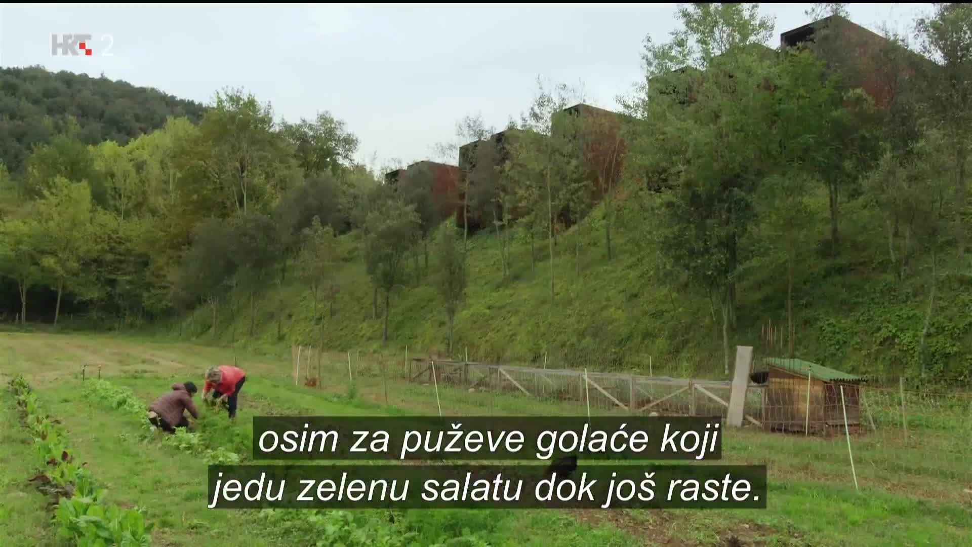 HRT2