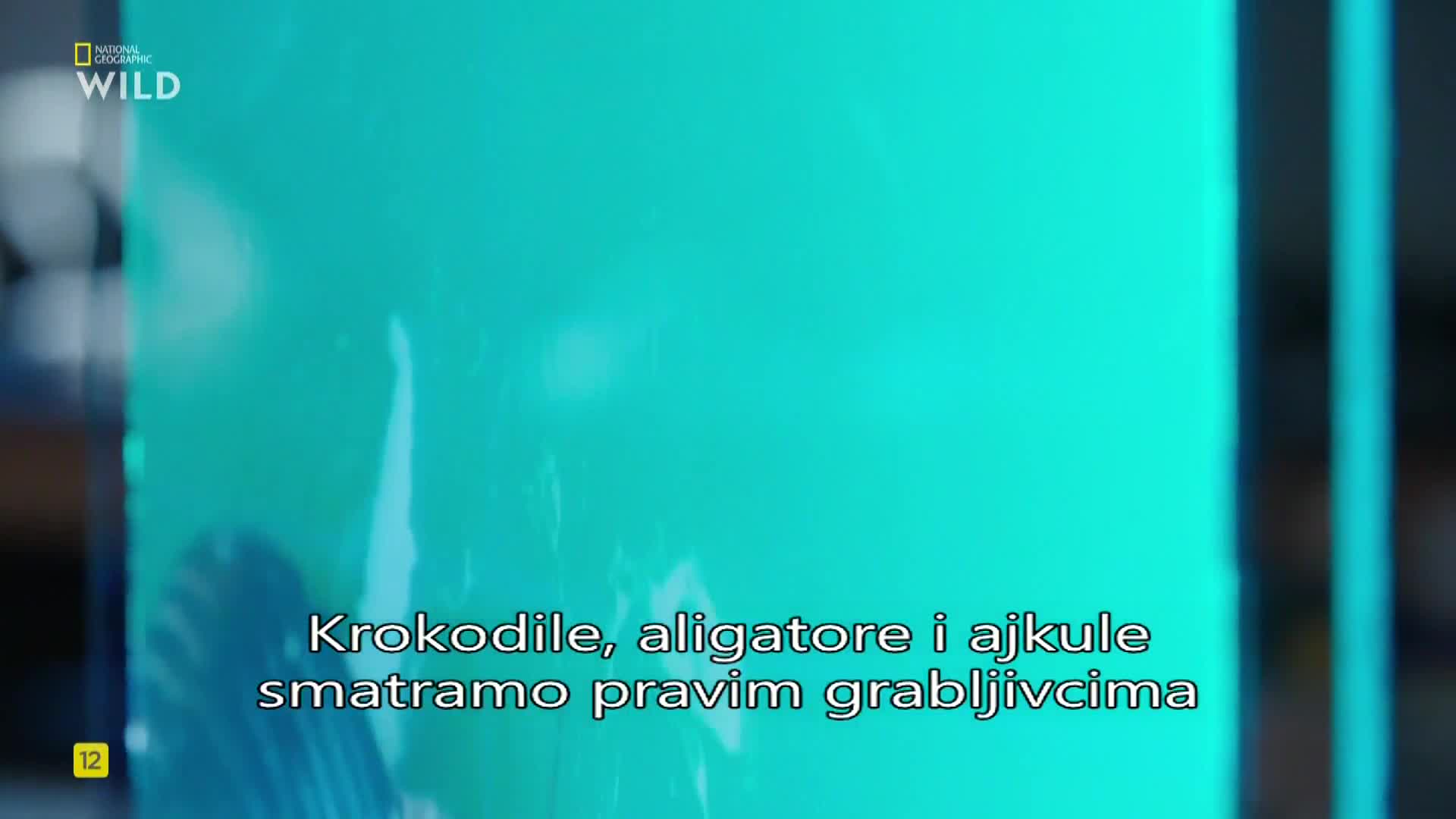 Premium9