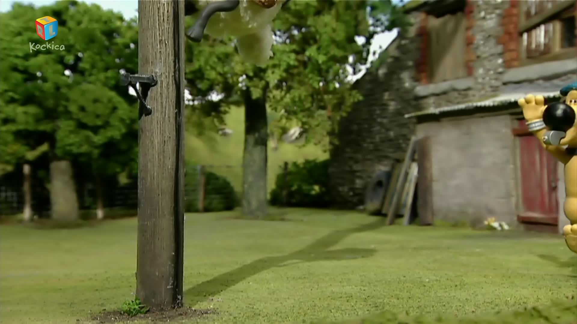 RTLKockica