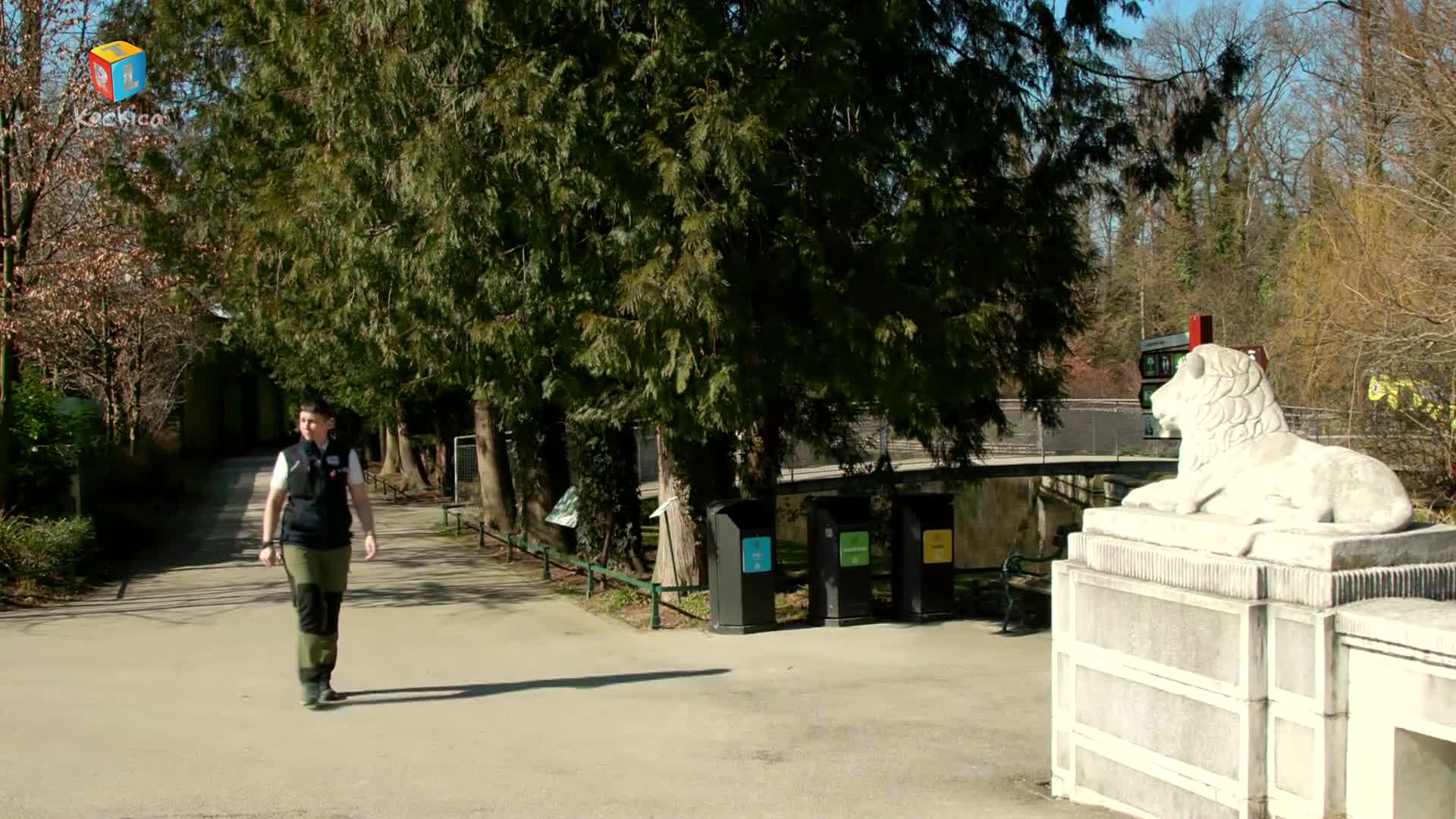 RTLKockica