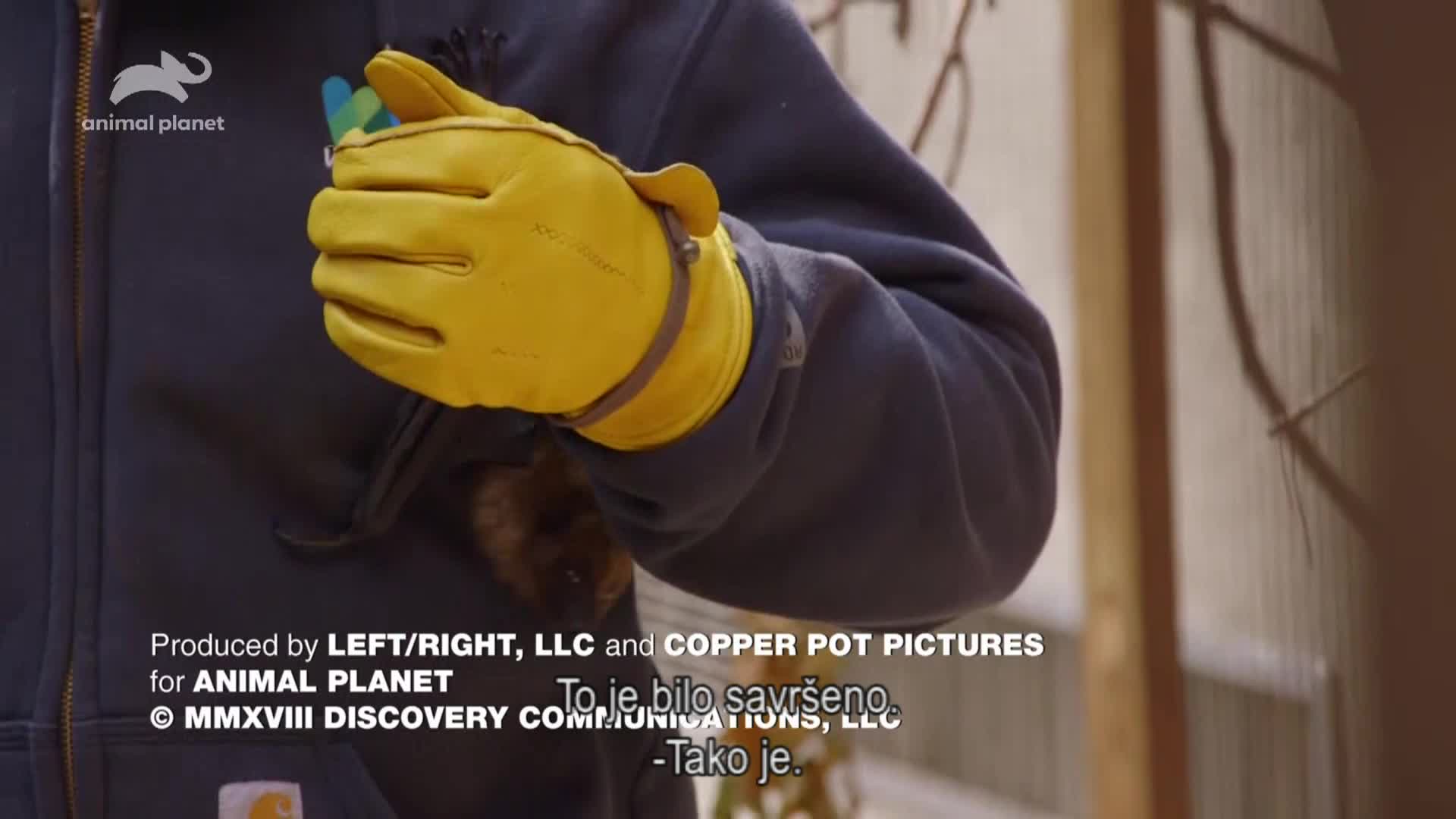 AnimalPlanet
