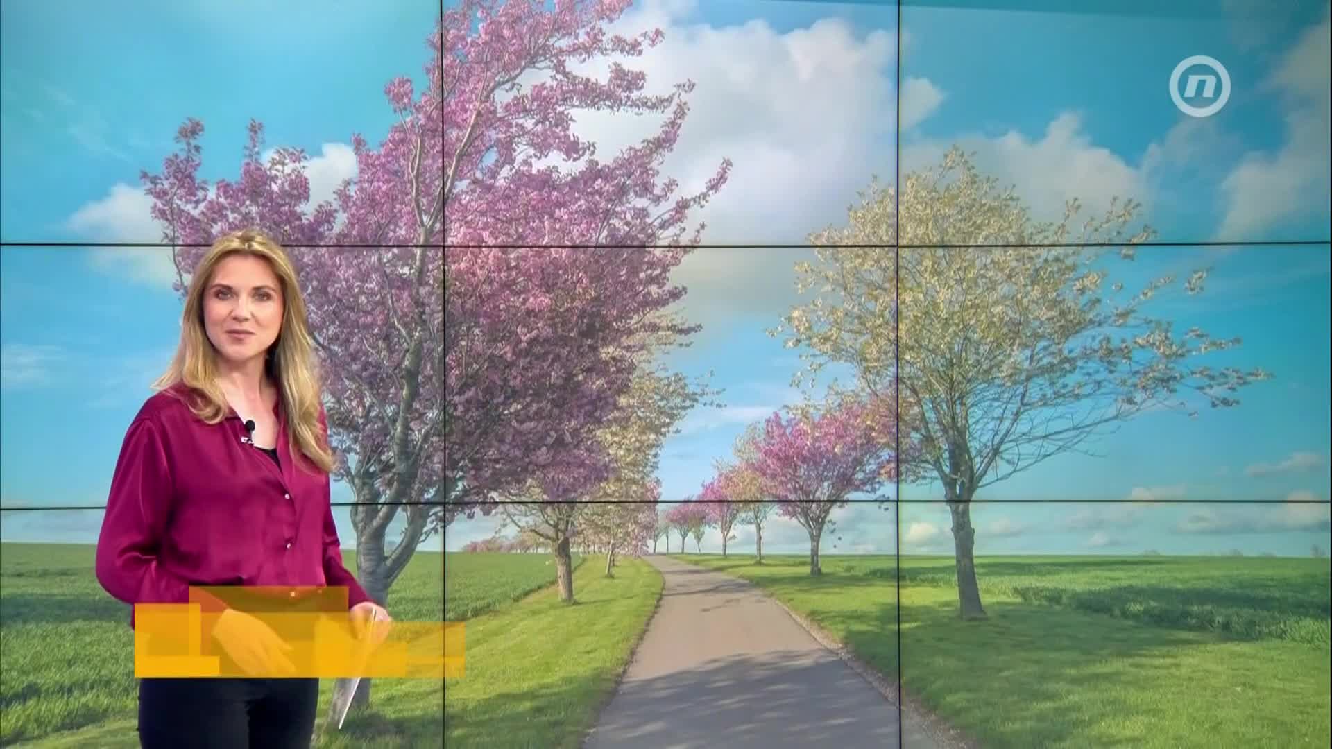 NovaTVbh